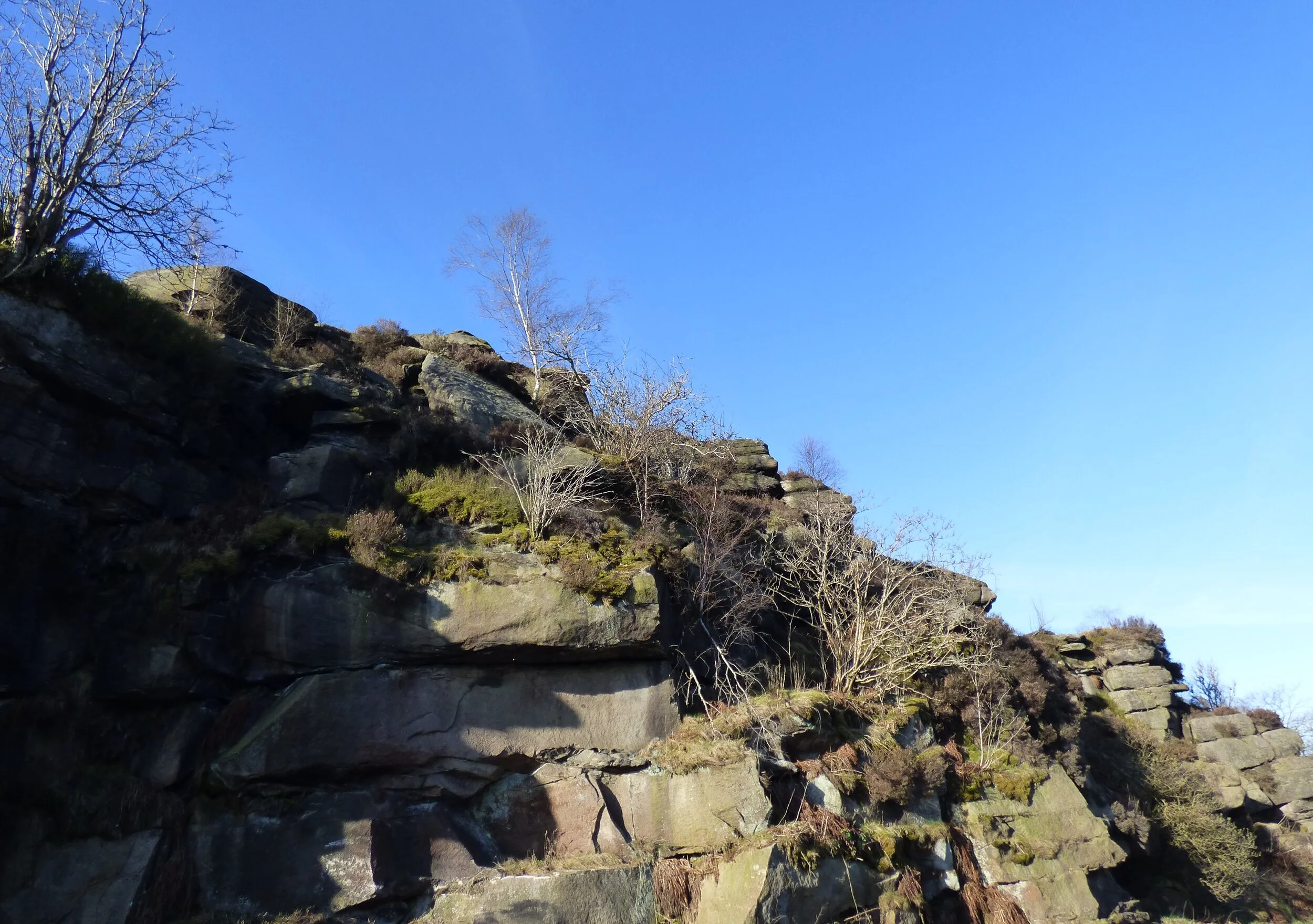 22nd April - Day 39 - It Peaks for Itself