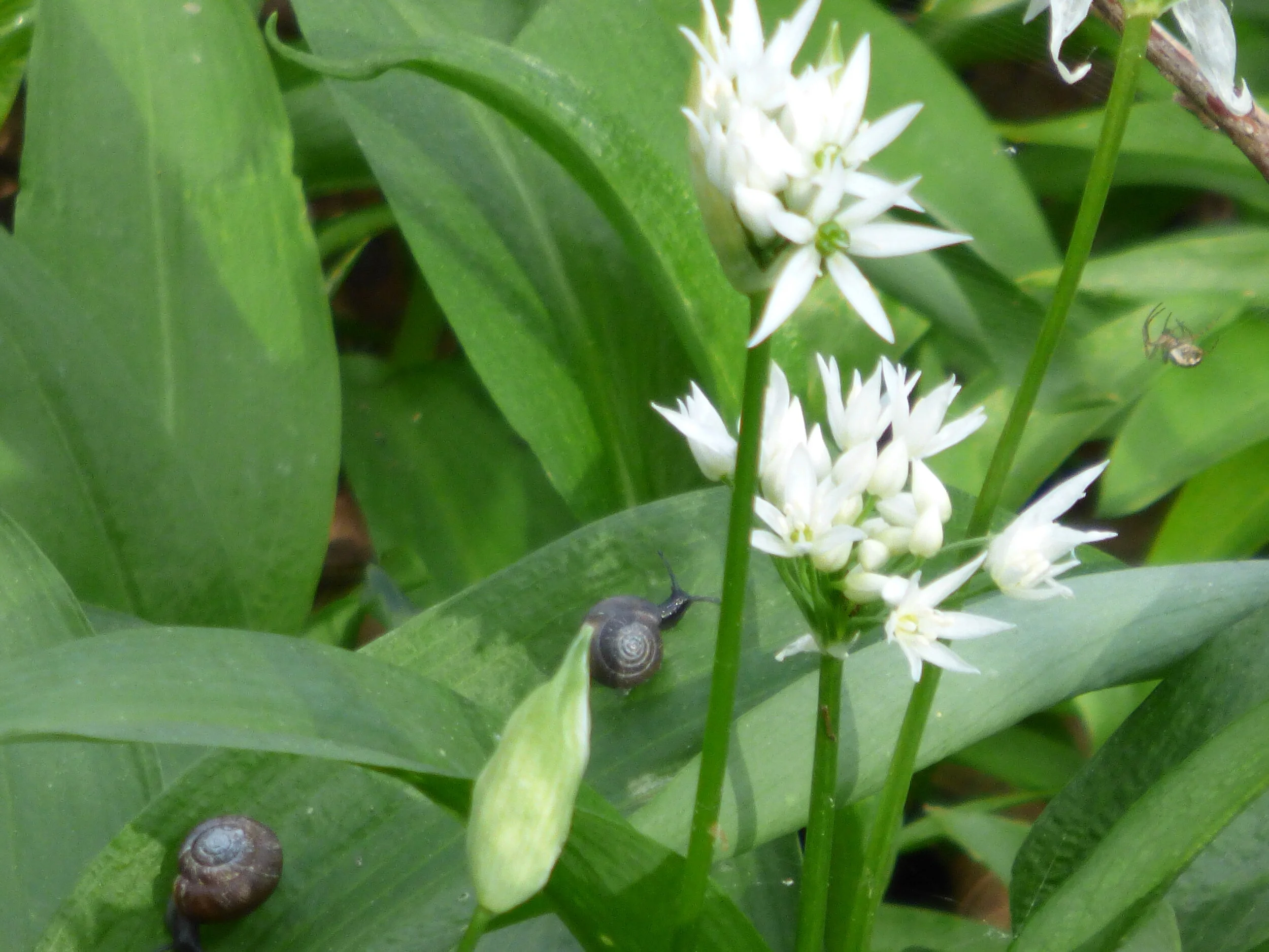 13th May - Day 53 - ‘The real voyage of discovery consists of not in seeking new landscapes but in having new eyes.’ Marcel Proust