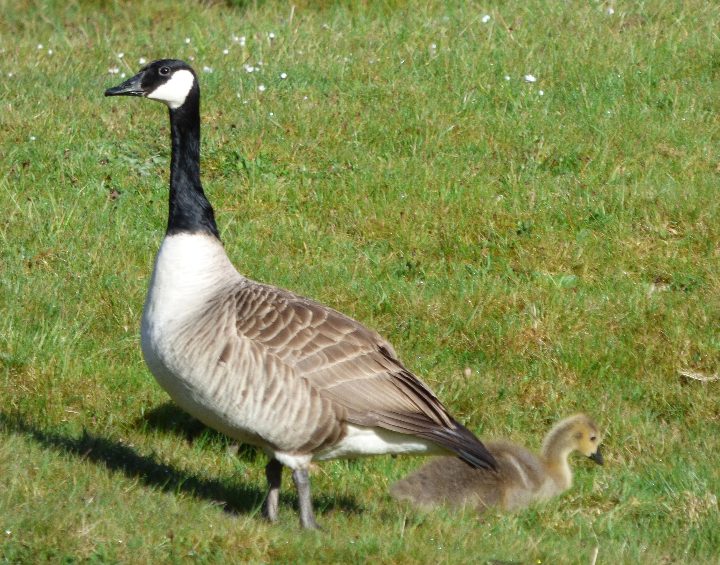 May 24 - Day 60 - Progress Report