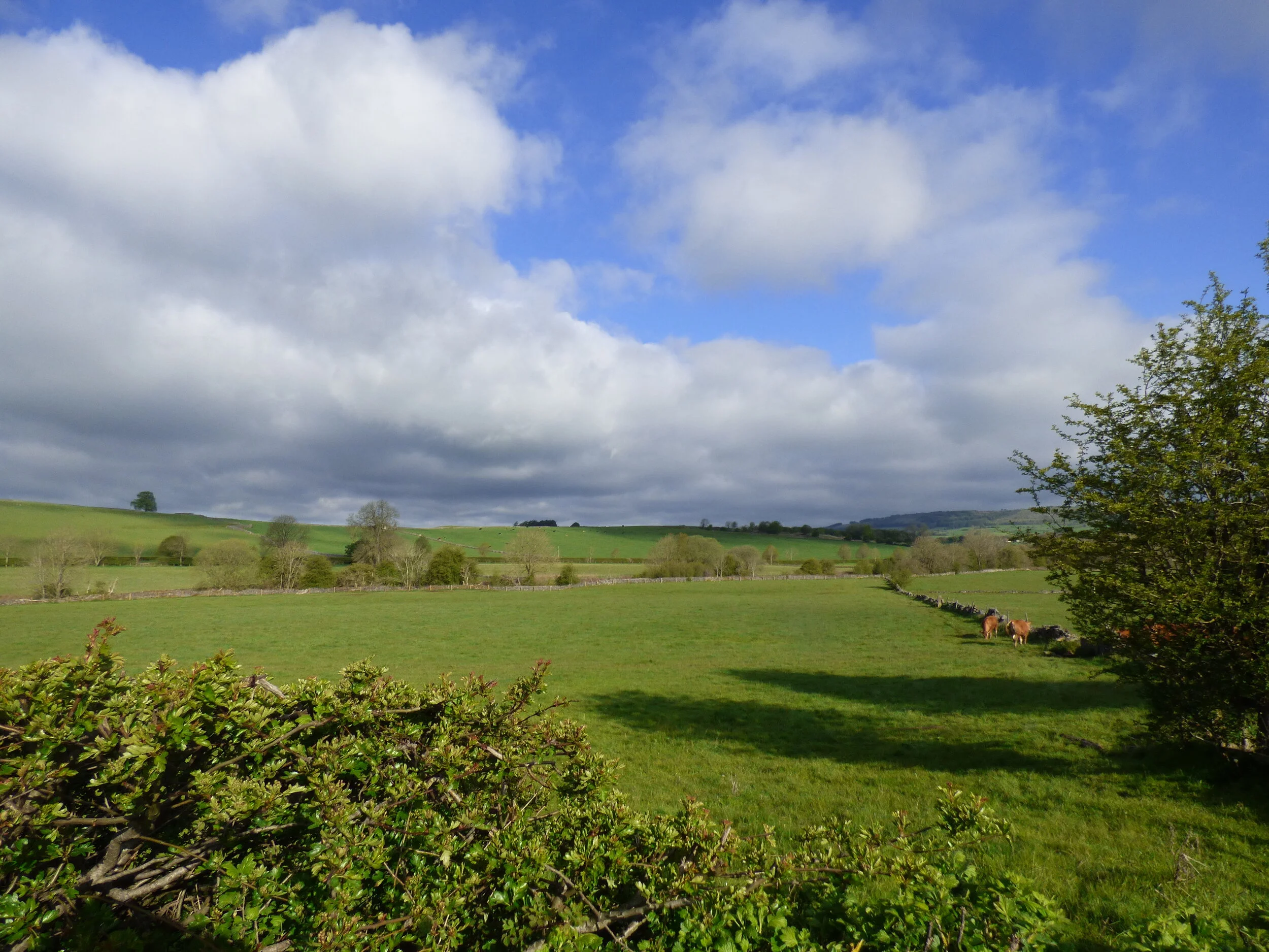 June 1 - Day 64 - 'In early June the world of leaf and blade and flowers explodes, and every sunset is different.' John Steinbeck