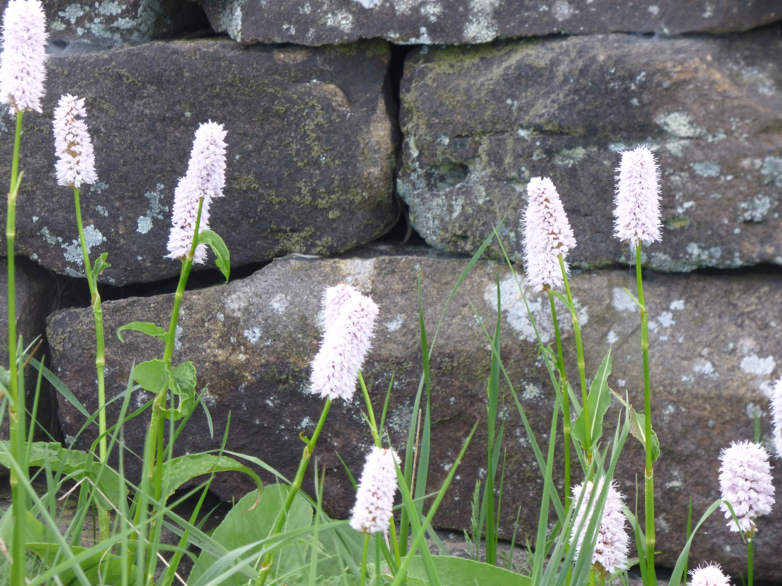 June 4 - Day 67 - 2,000 miles Is very far through the snow I'll think of you Wherever you go' Pretenders
