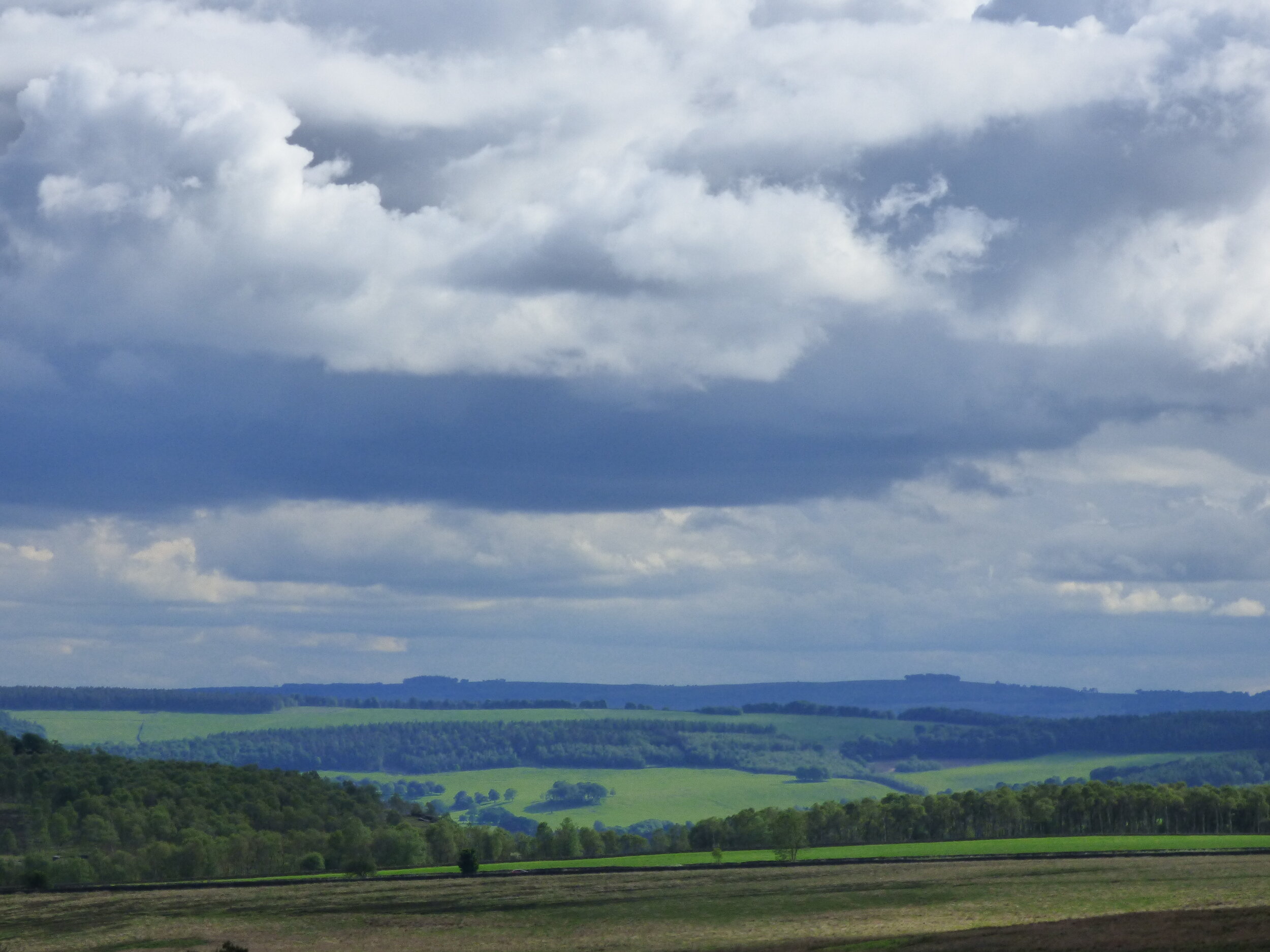 June 10 - Day 71 - 'One man's greed is another man's pain One man's loss is another man's gain...One man's laughter is another man's tear One man's glory is another man's fear.' Immaculate Fools