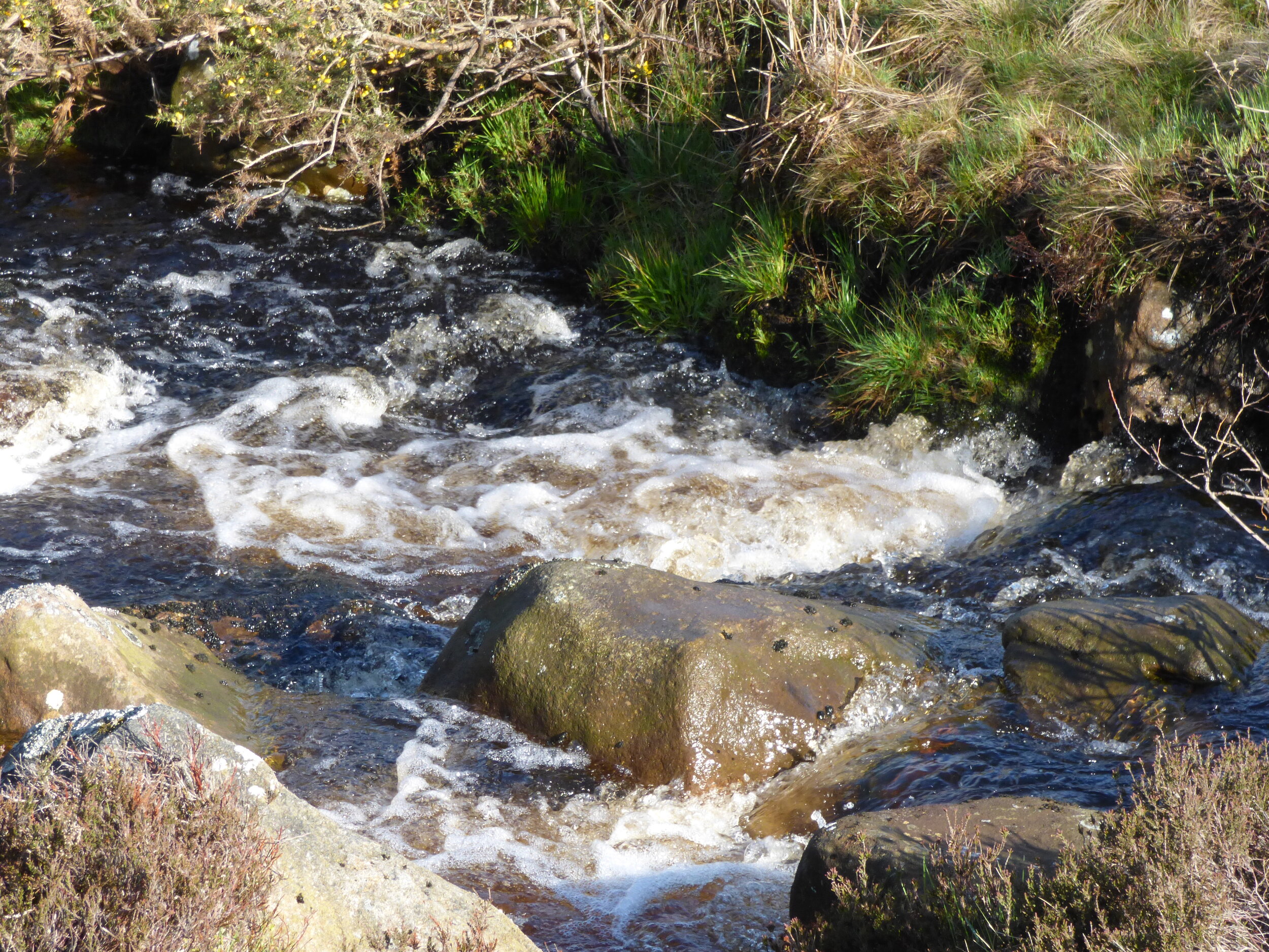 June 17 - Day 76 - Halfway point - the end of the beginning or the beginning of the end?