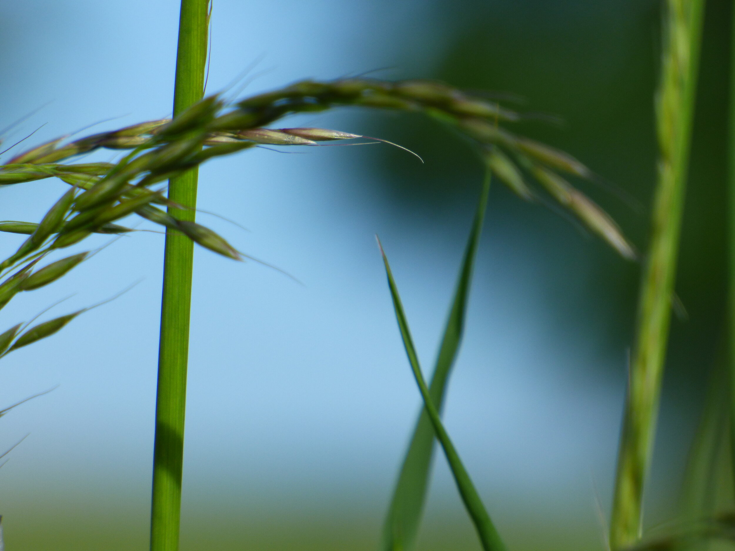June 18 -Day 77 - 'Scientists investigate that which already is; Engineers create that which has never been.' Albert Einstein