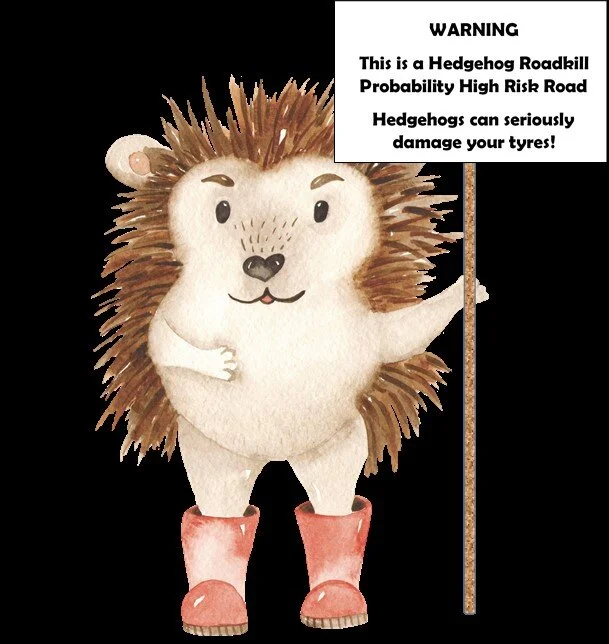 June 29 - Day 84 - Tyre Consequences