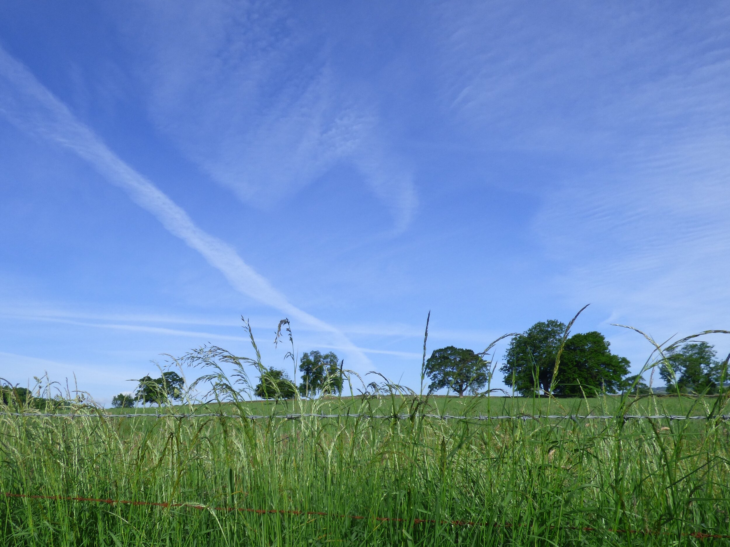 July 2 - Day 87 - If I had my way, I'd remove January from the calendar altogether and have an extra July instead. Roald Dahl