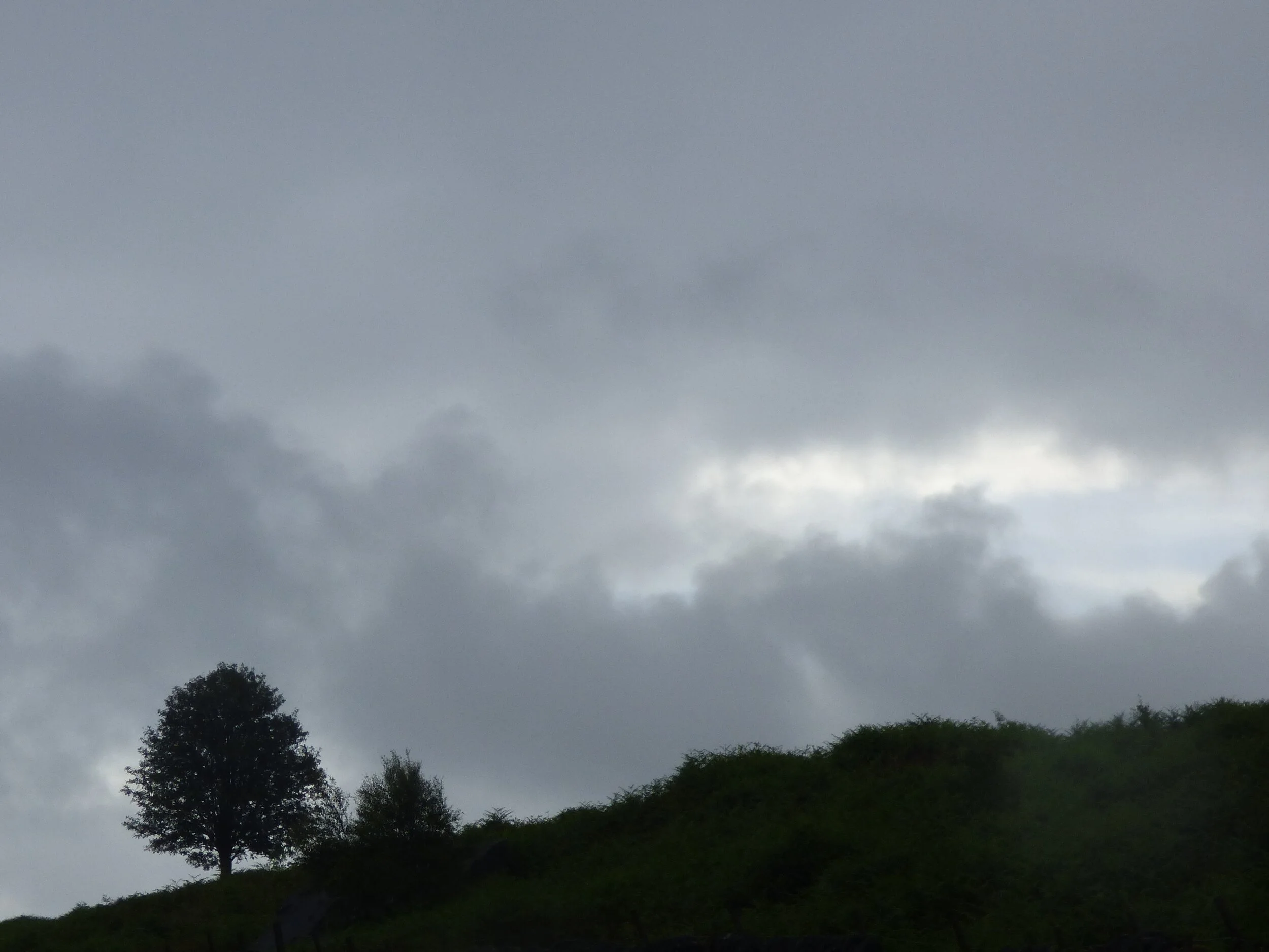 July 6 - Day 89 - Rain before seven, fine by eleven