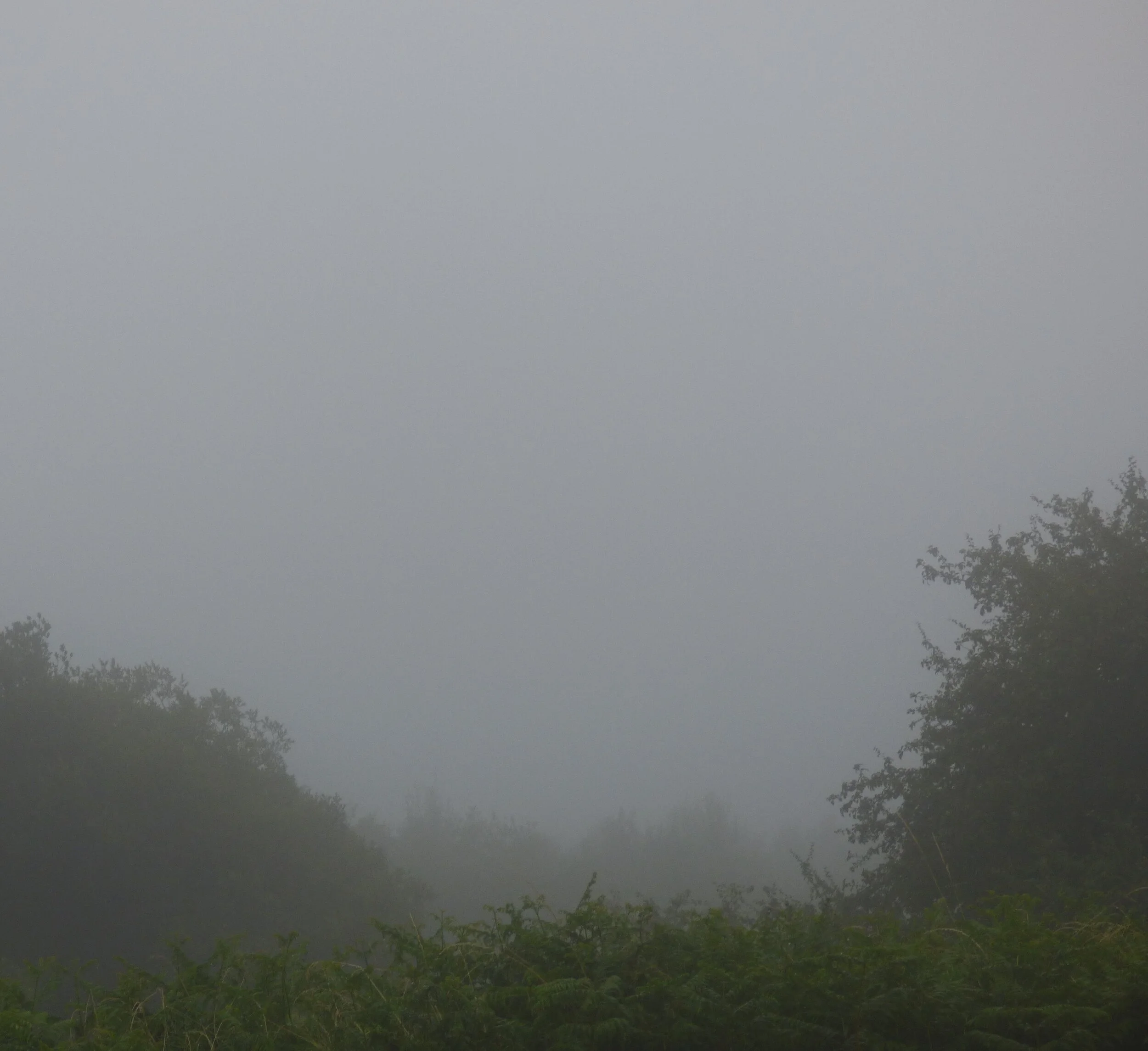 July 30 - Day 106 - 'out on the open country road when the day came creeping on, halting and whimpering and shivering, and wrapped in patches of cloud and rags of mist, like a beggar.' Charles Dickens