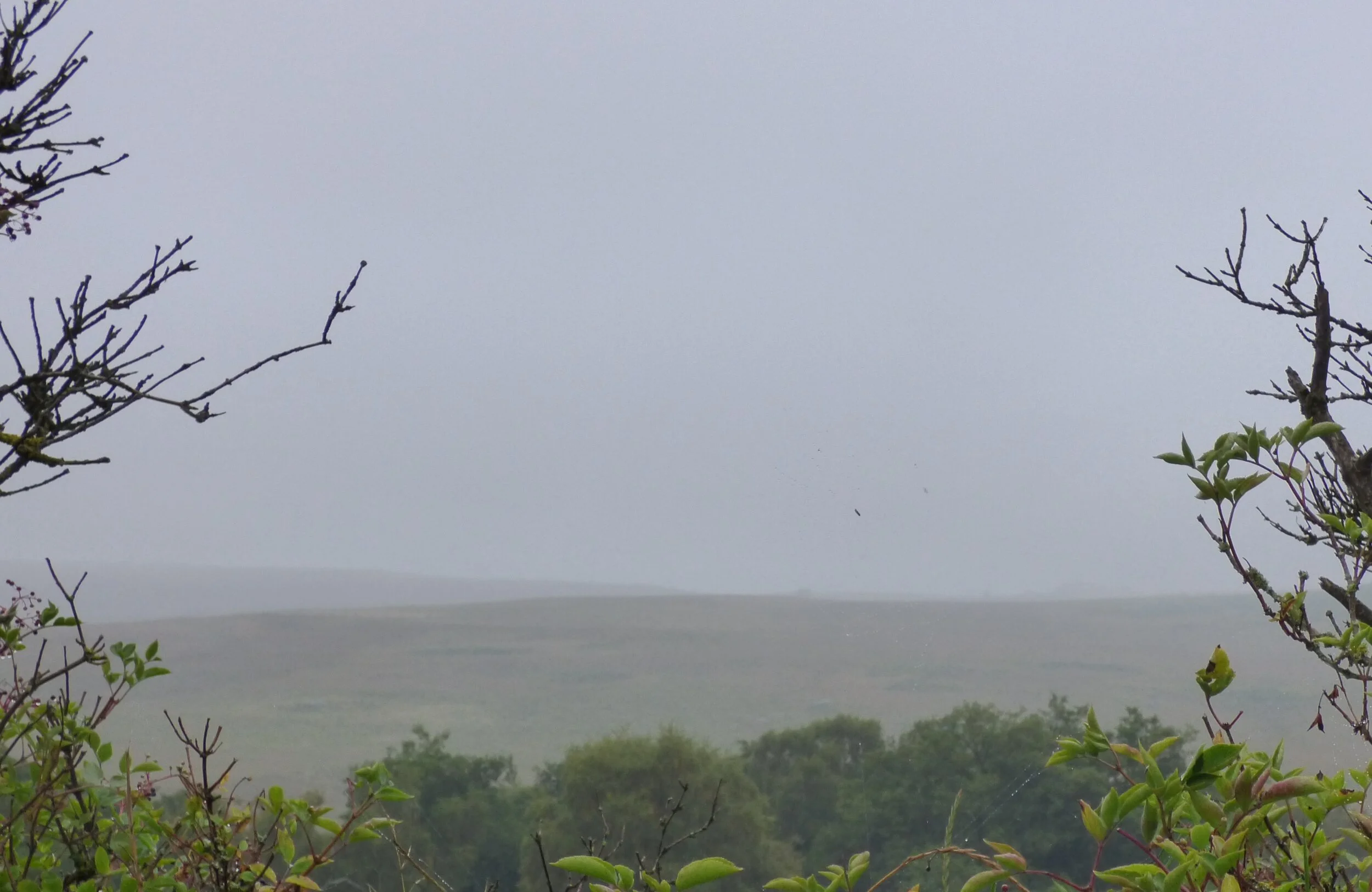 September 14 - Day 127 - 'Enveloped in a common mist, we seem to walk in clearness ourselves, and behold only the mist that enshrouds others.' George Eliot