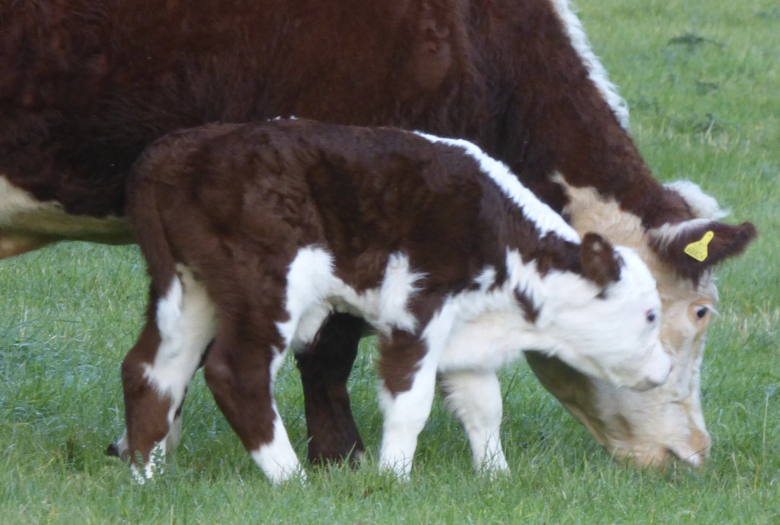 September 30 - Day 138 (137.5) - 'For the rain it raineth every day.' - Shakespeare