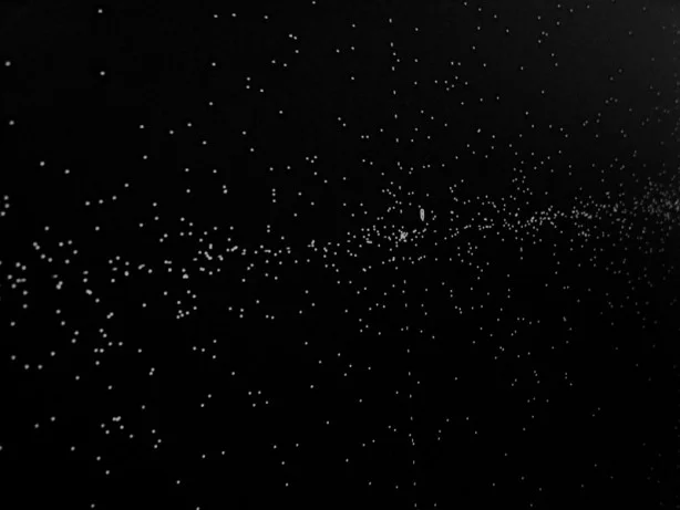 All the Dead Stars