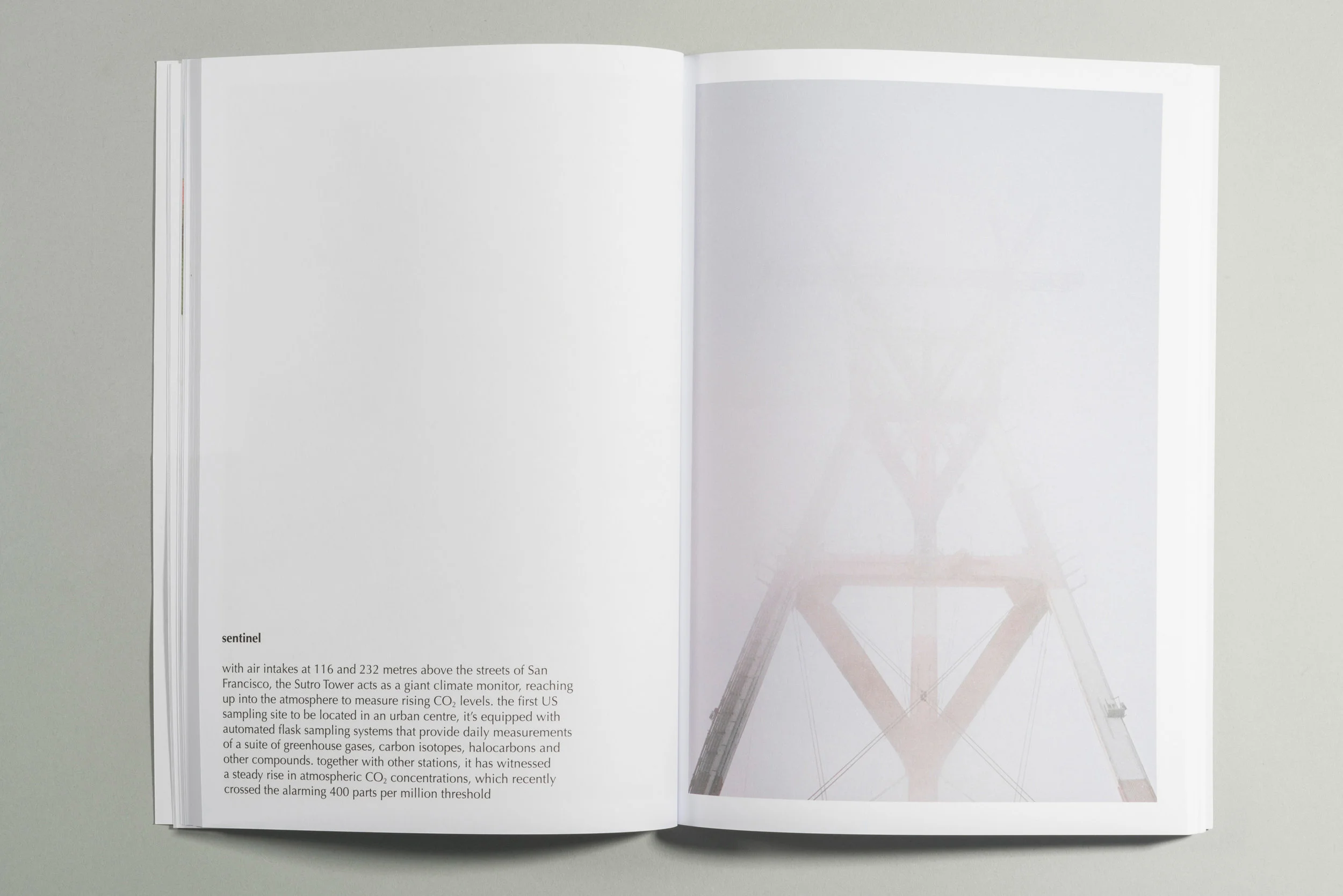 sc10yearBook4.jpg
