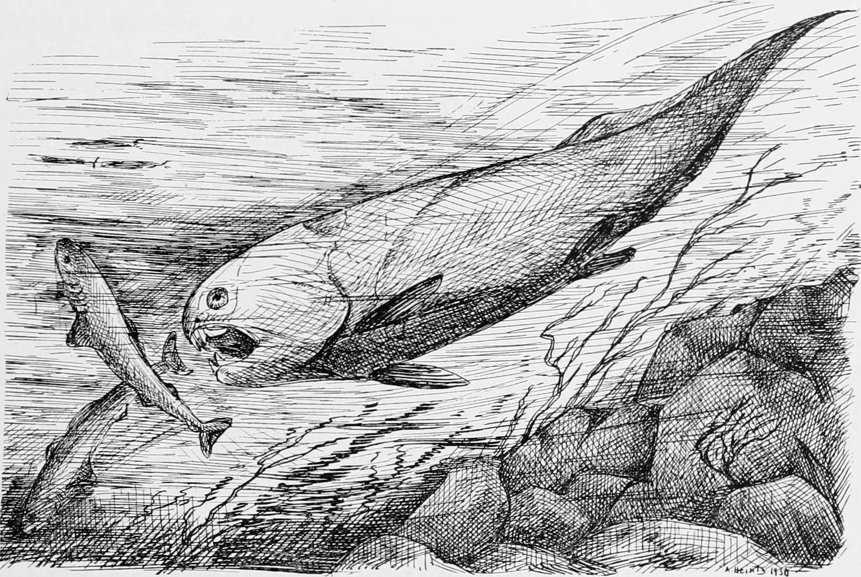 Dean archaic fish.jpg