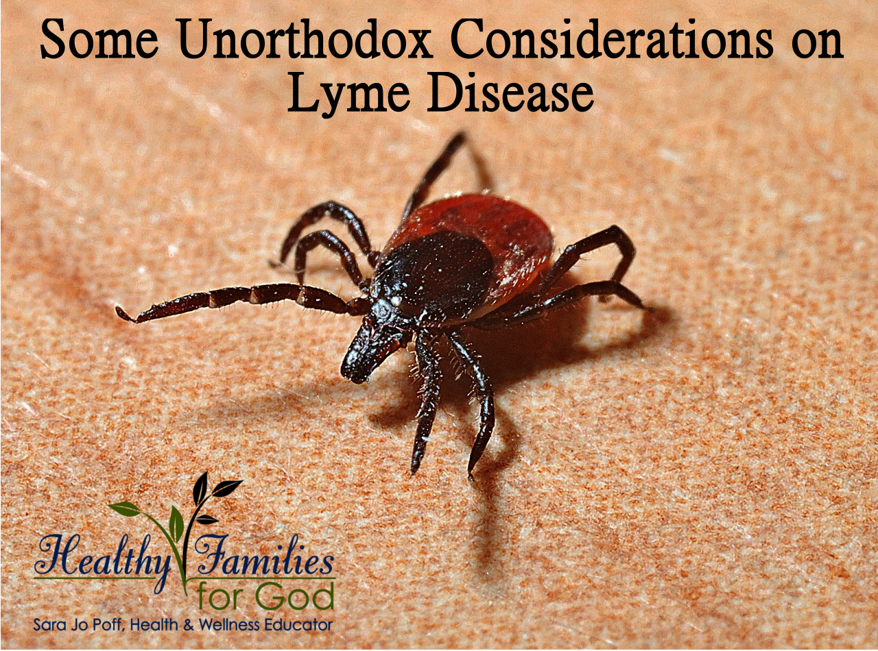 lyme-disease.png