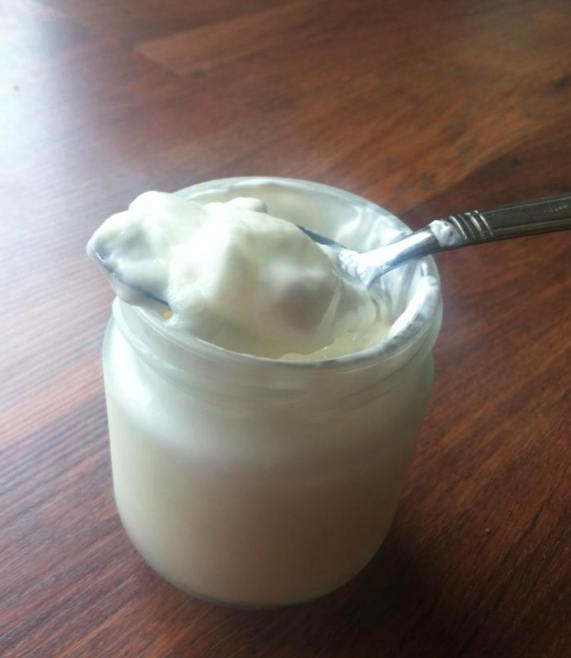How to Make Thick Homemade Raw Goats' (or Cow's) Milk Yogurt — Healthy