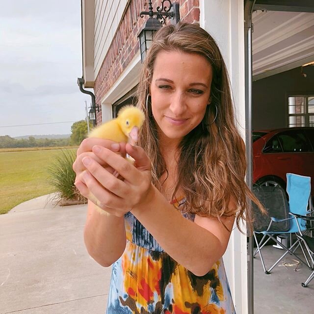 Whoops. I should have known better when I walked into Atwood&rsquo;s to get some stuff for the chicks coming next week. I miss Captain our goose that&rsquo;s staying at our MN house, and they had goslings right there in the chicken section today...
.