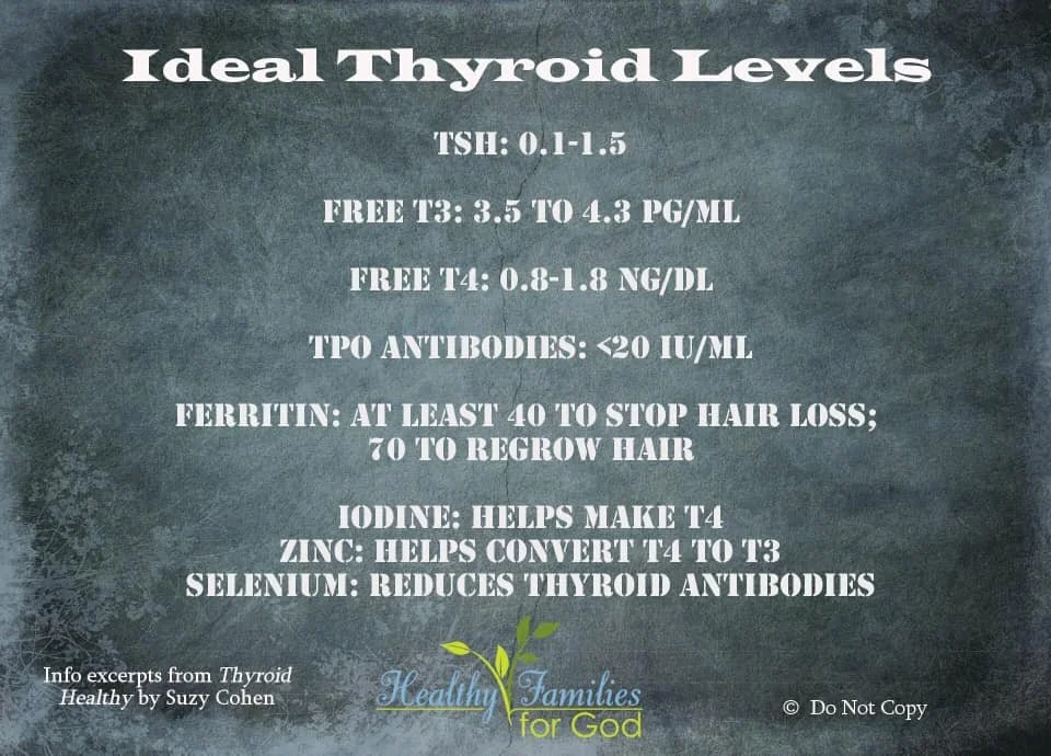 117803189_10225002129059566_1696798967376307332_n (2).jpg