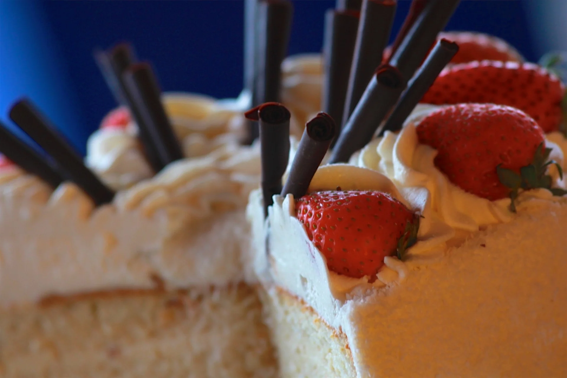 As seen in at Pambiche in December - 55.jpg