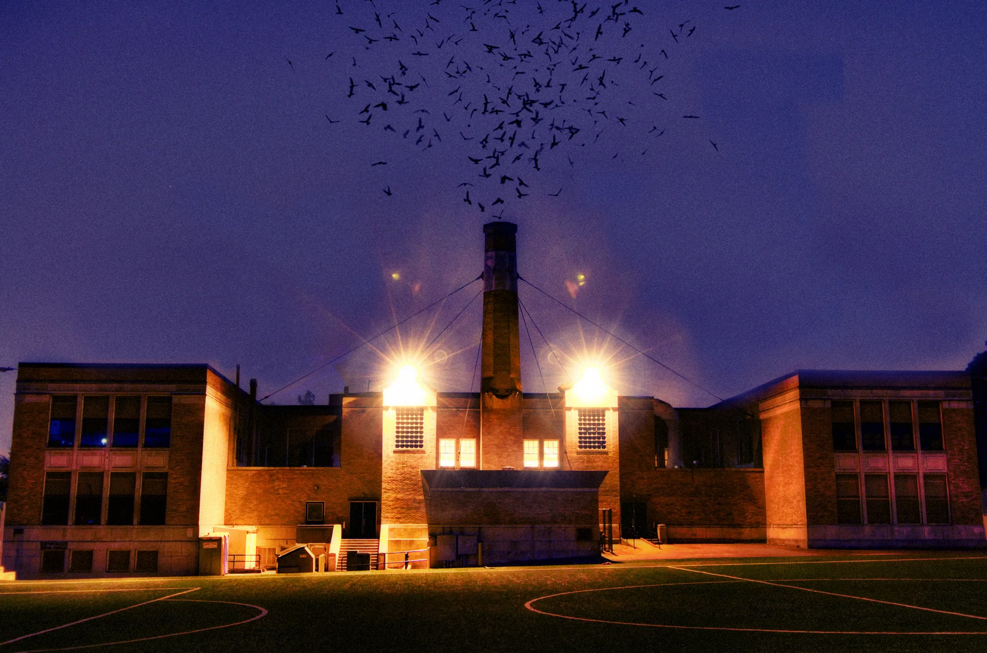 Chapman Scook Bird Funnel.jpg