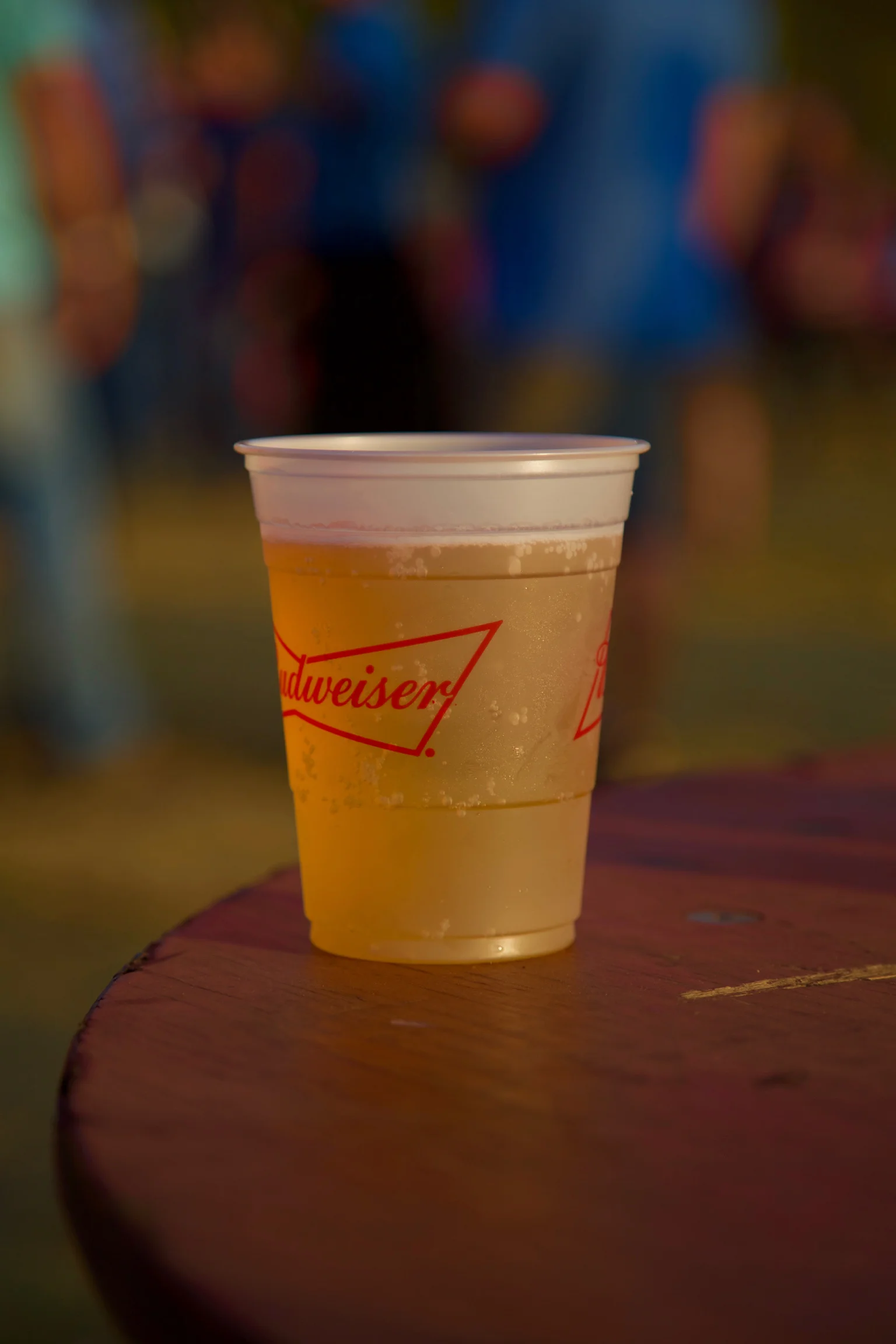 bimartcountrymusicfesttoppicks - 47.jpg