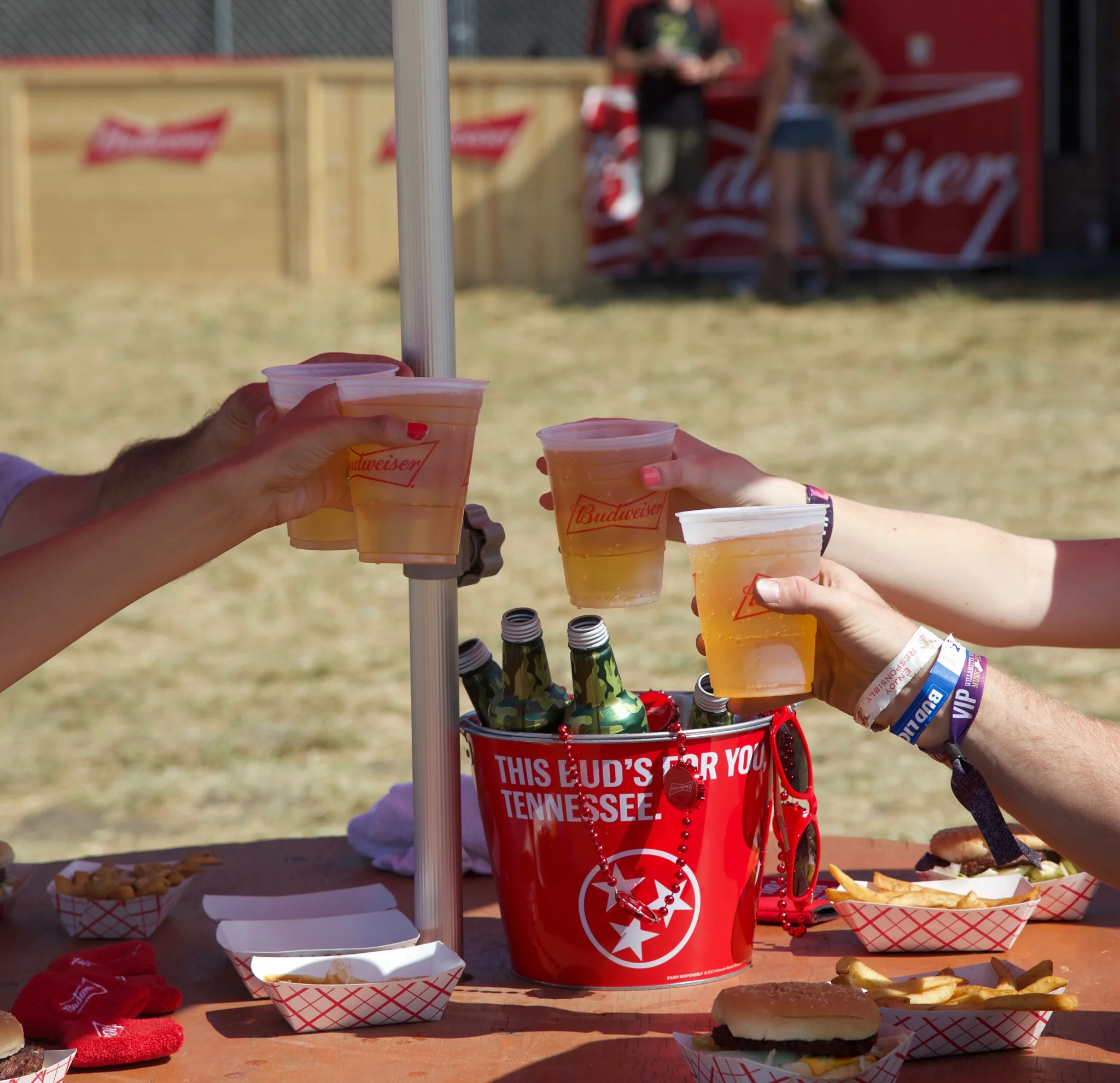 bimartcountrymusicfesttoppicks - 14.jpg