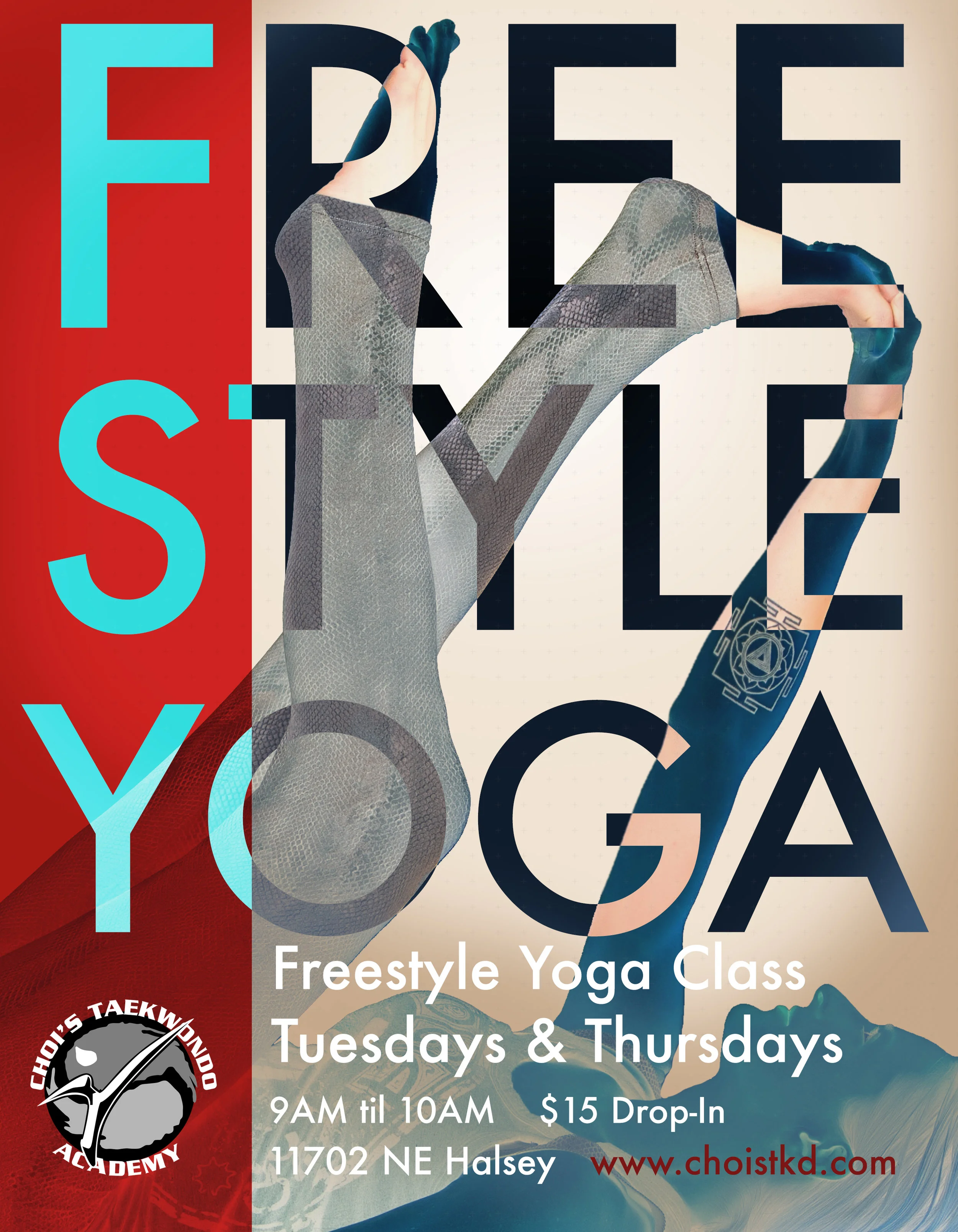 Freesyle Intro Flye.jpg