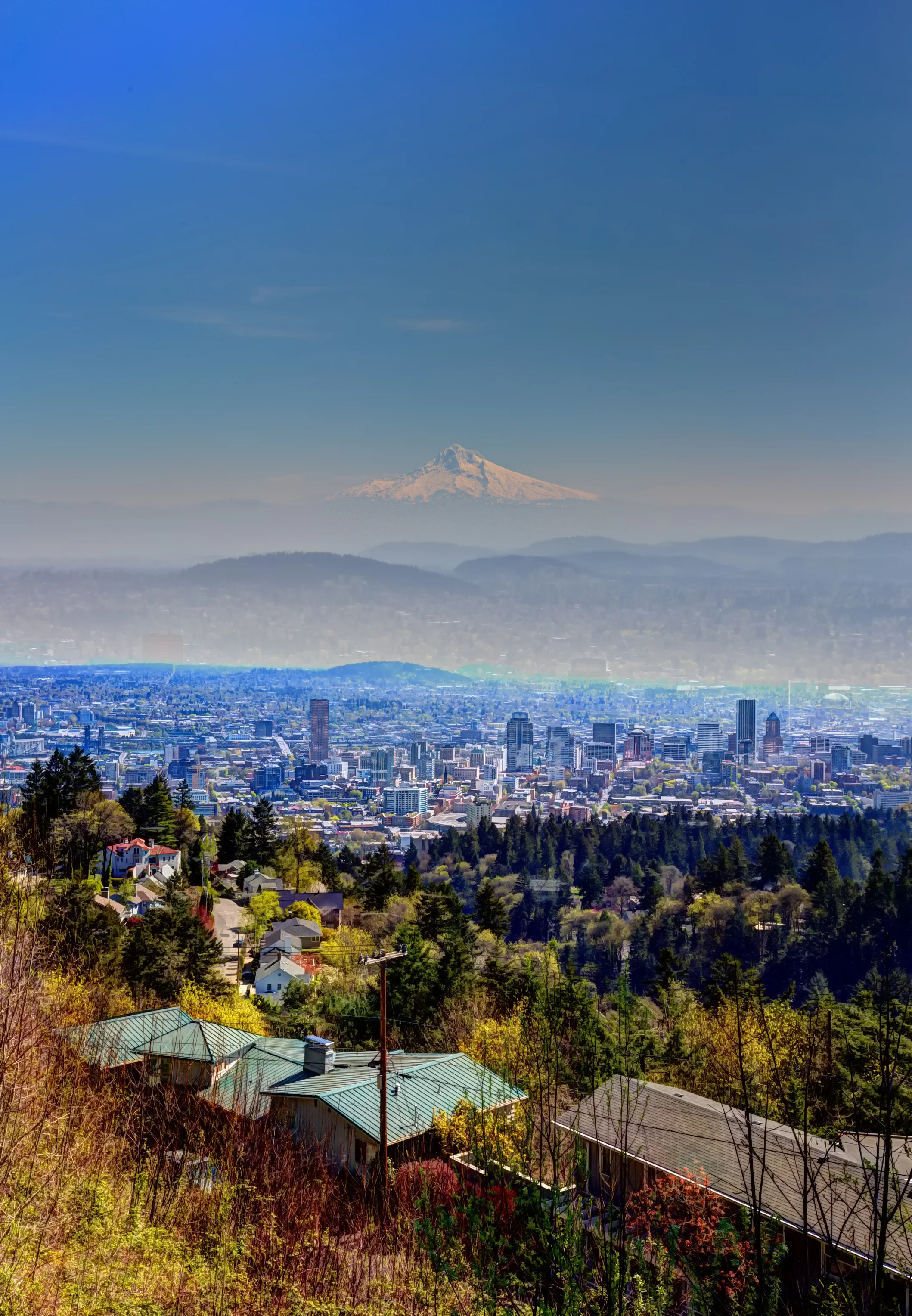 Screen Shot 2016-05-06 at 12.00.22 PM.jpg