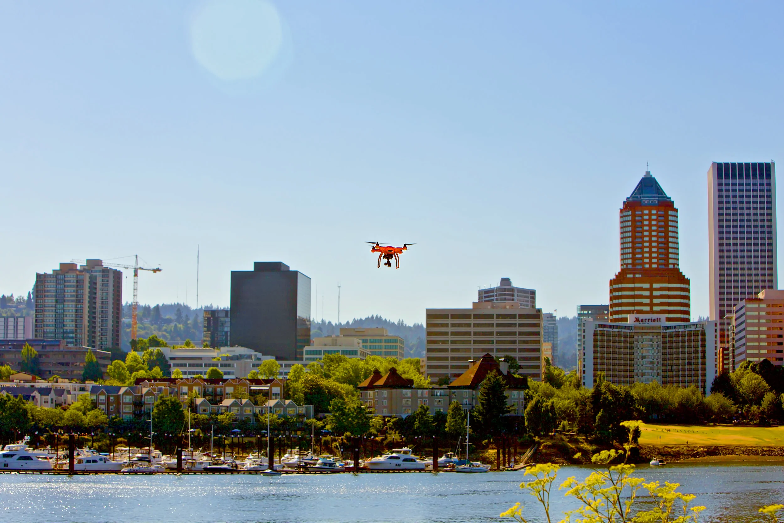 Viking and Cityscape.jpg