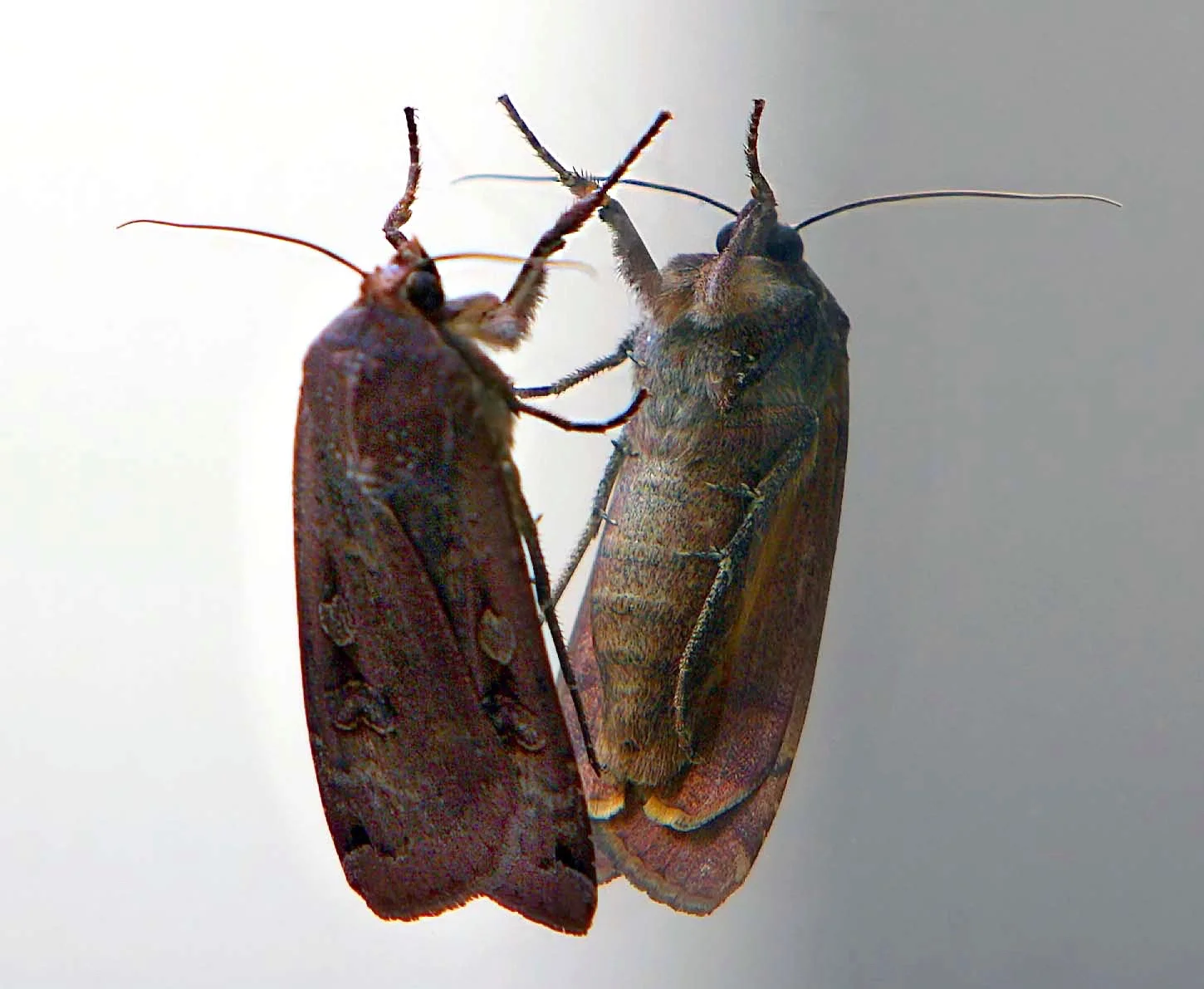 Image 2-8-19 at 8.58 PM.jpeg