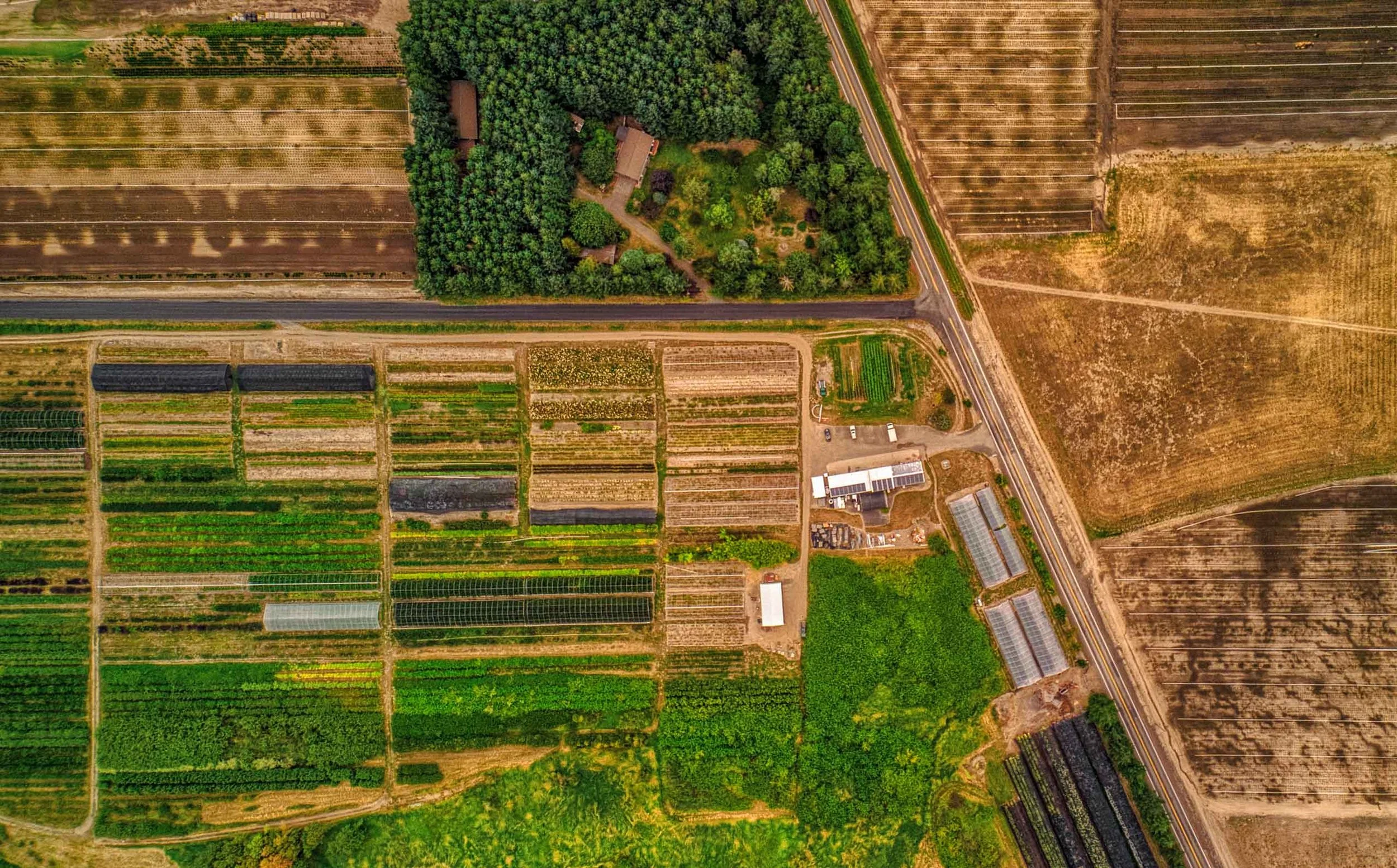 KenyonGrowers-Aerial-HDR.jpg