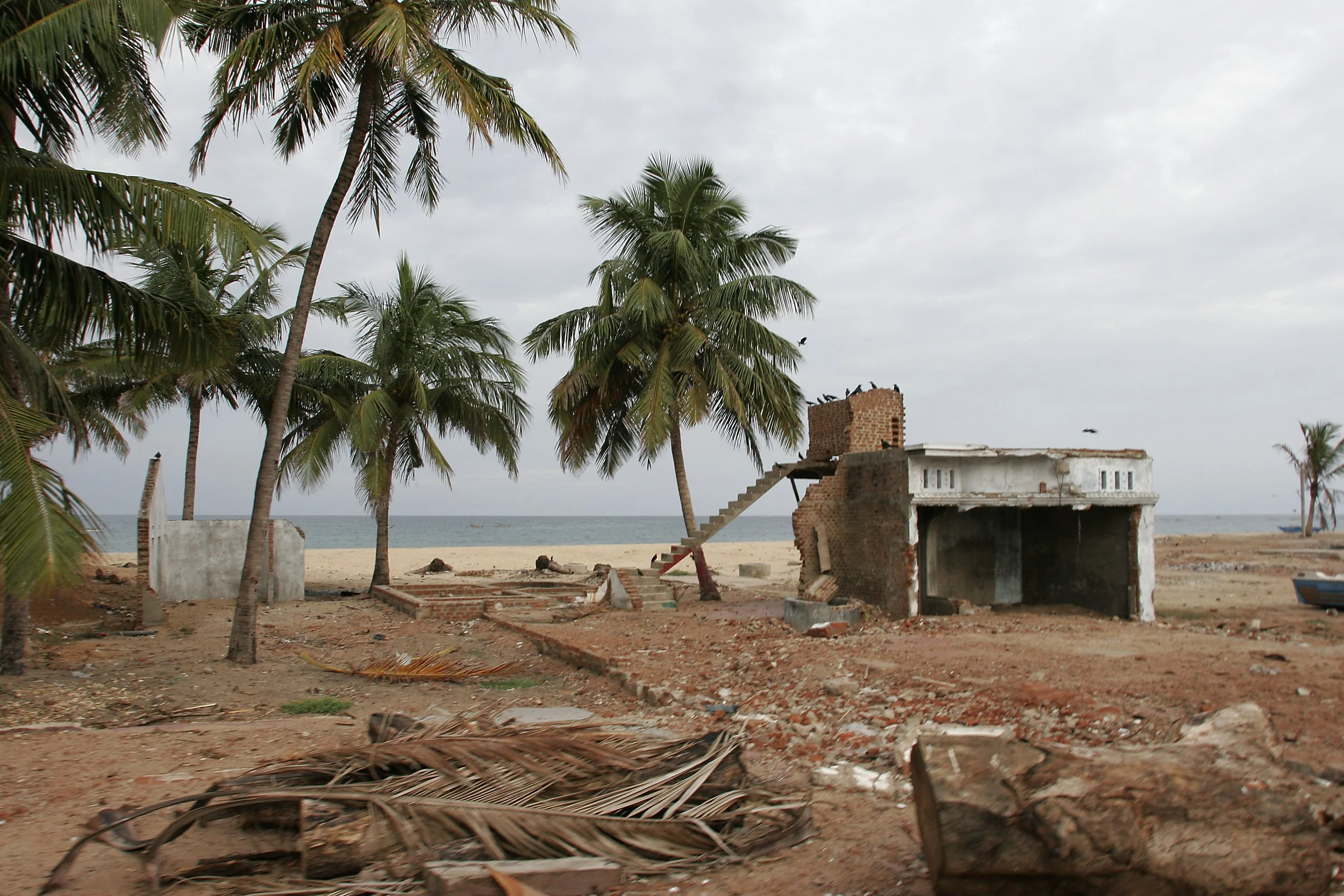 B-Tsunami Distruction 4.jpg