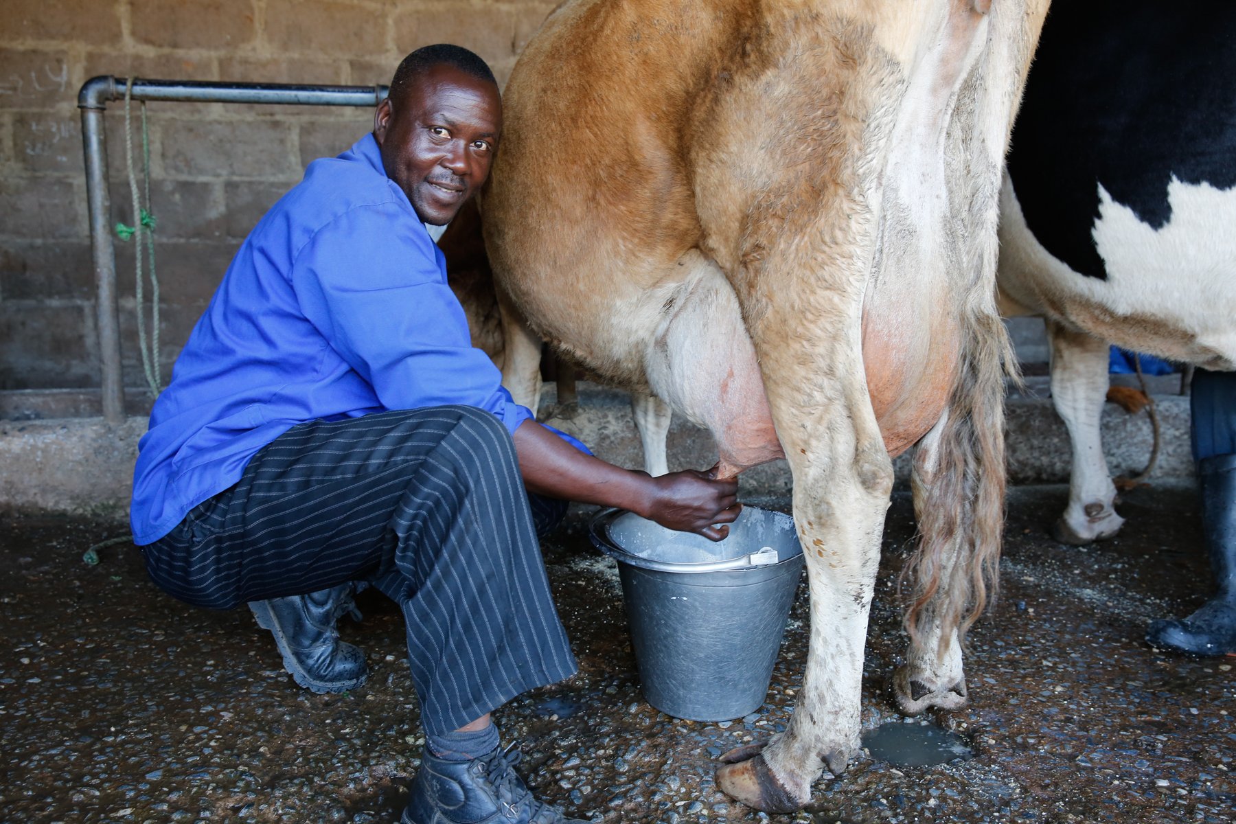  Ephraim’s Story: Palabana on the Move