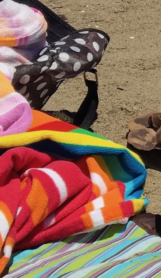 this is an image that I took at the beach,it needs to be painted into a work..