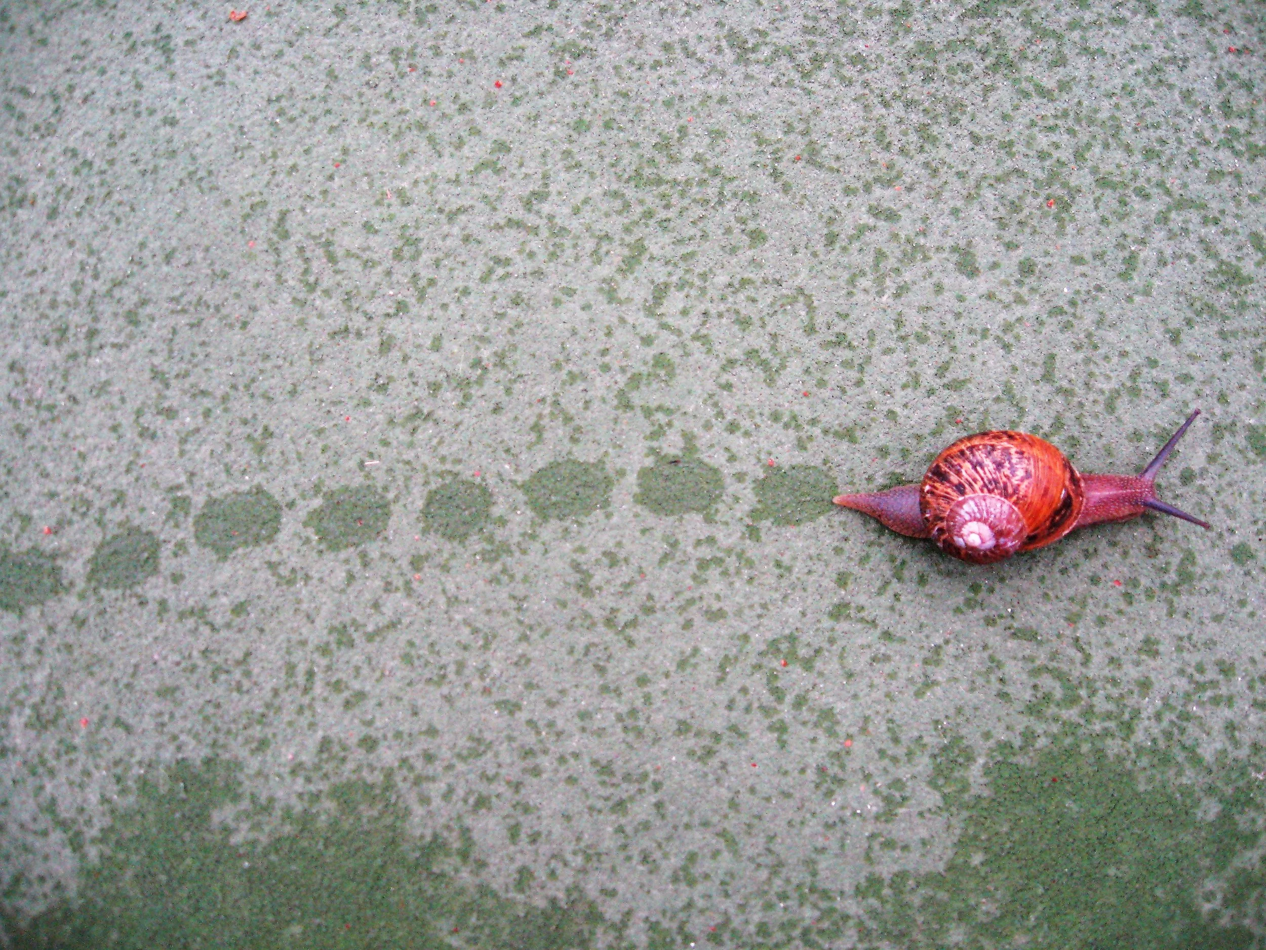 Trails on a Tennis Court