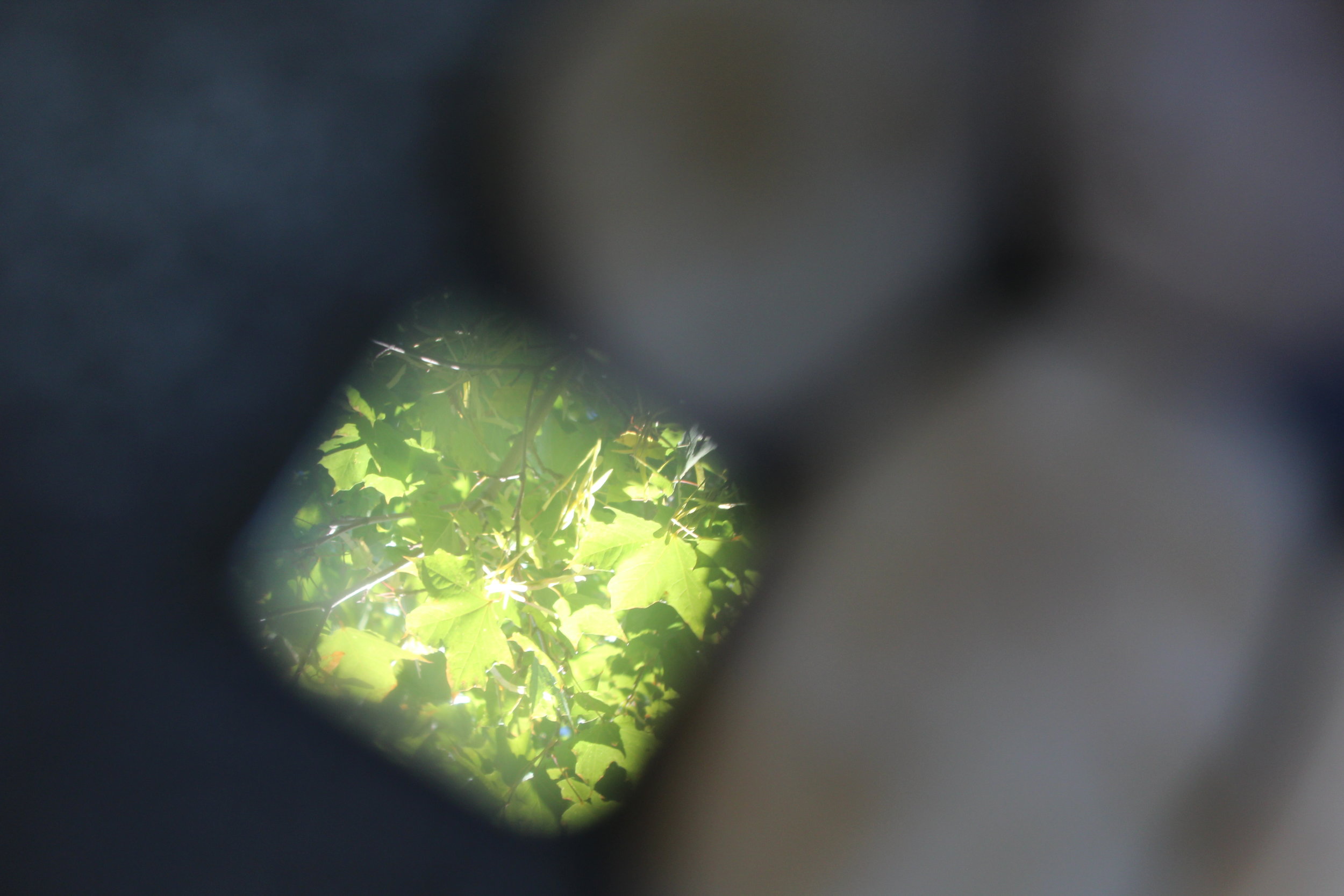 Diamond in the Rough