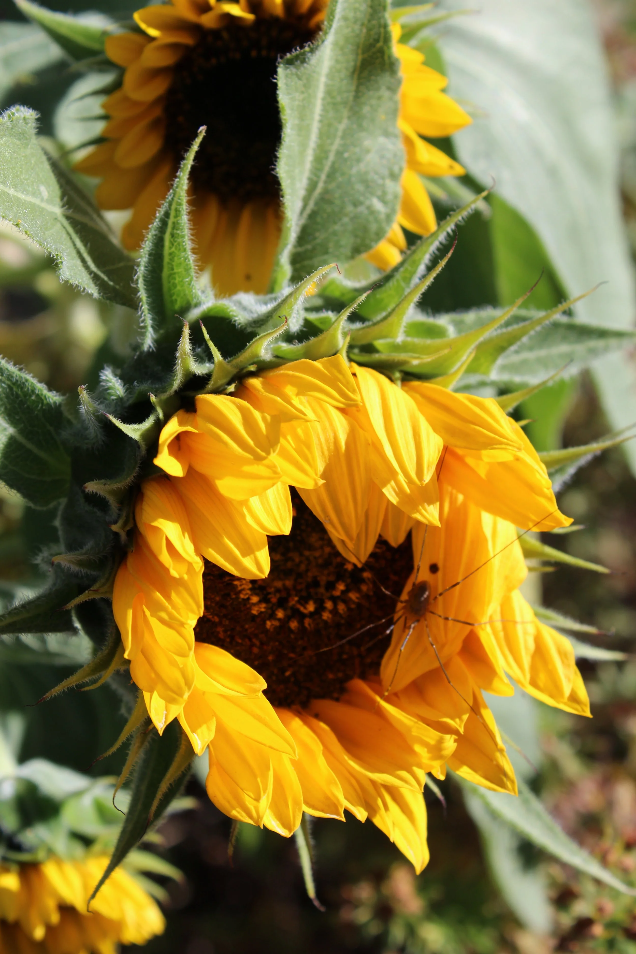 We Took Forever To Grow!