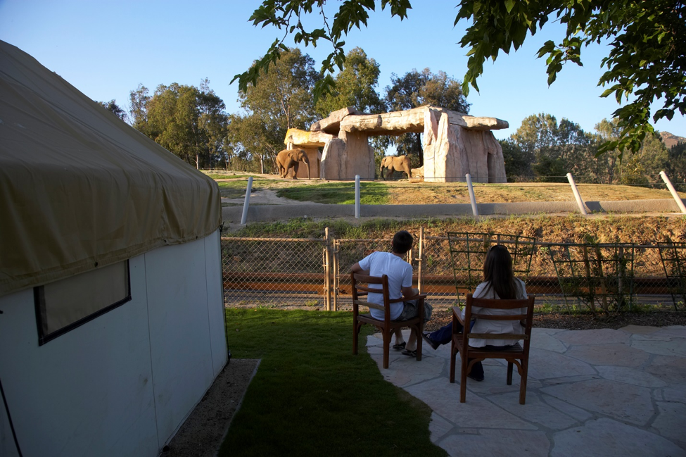 San Diego Zoo Events.png