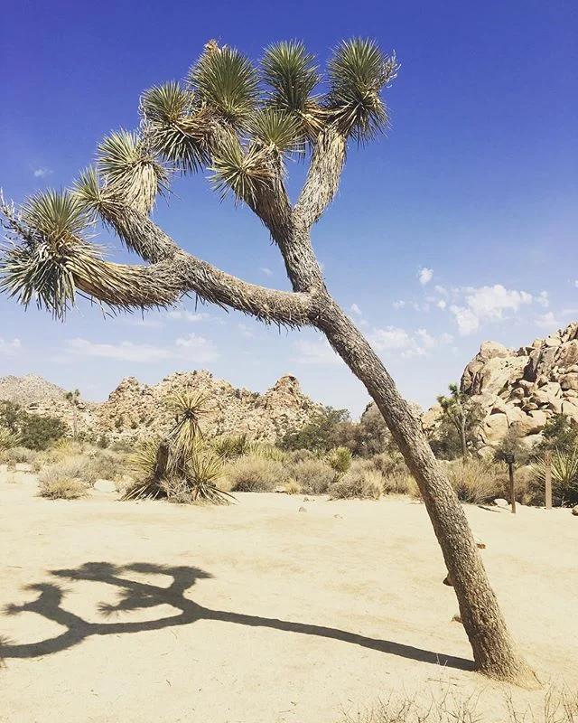 Roadtrippers... discover your destination #destinationlosangeles #roadtrip #corporateretreat