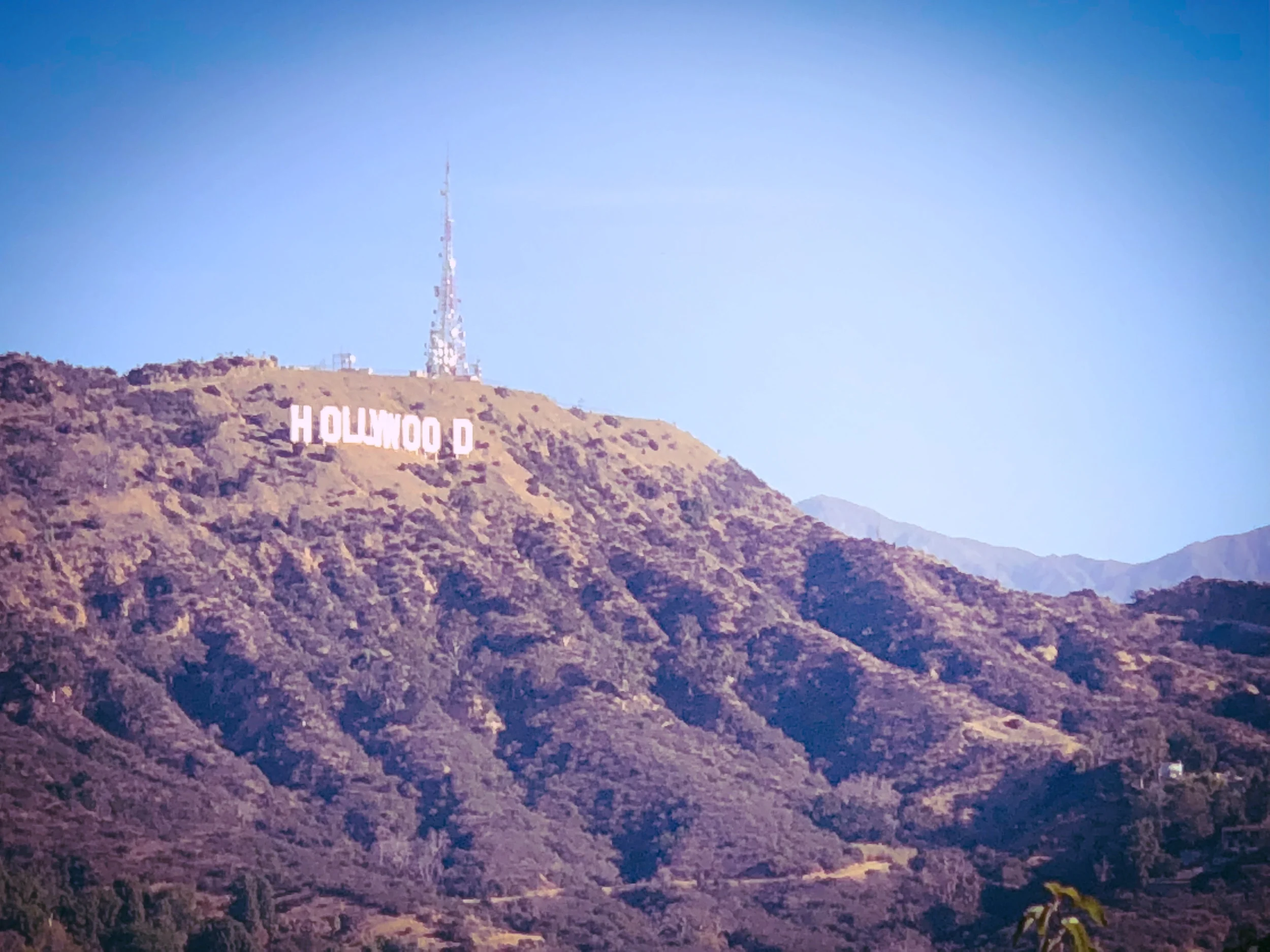LA Hollywood Sign.jpg