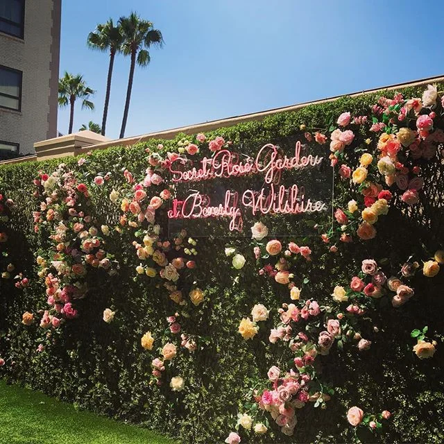 It&rsquo;s a rose kind of day #rosegarden #bhsecretgarden