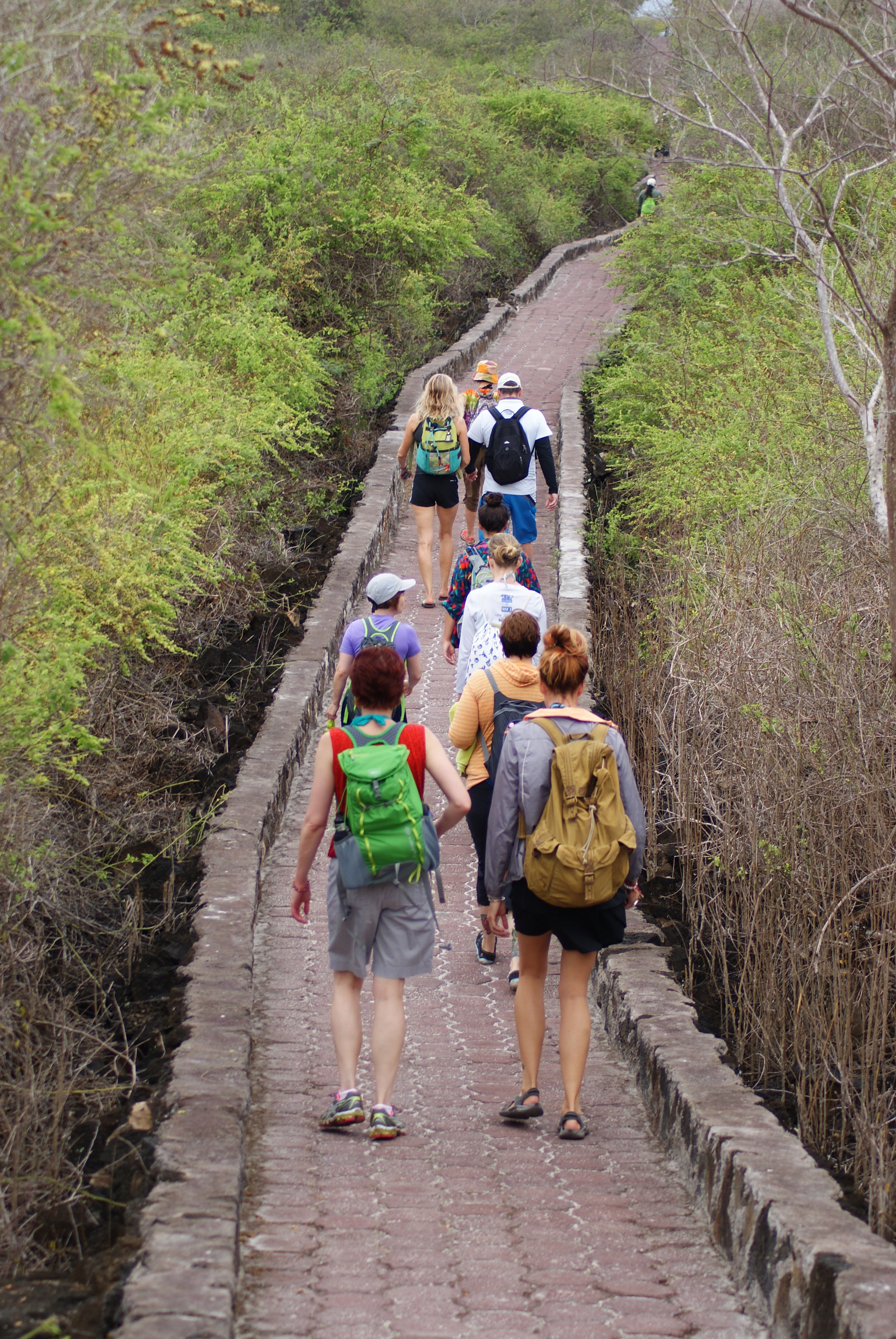 joylove-galapagos2013-4.jpg