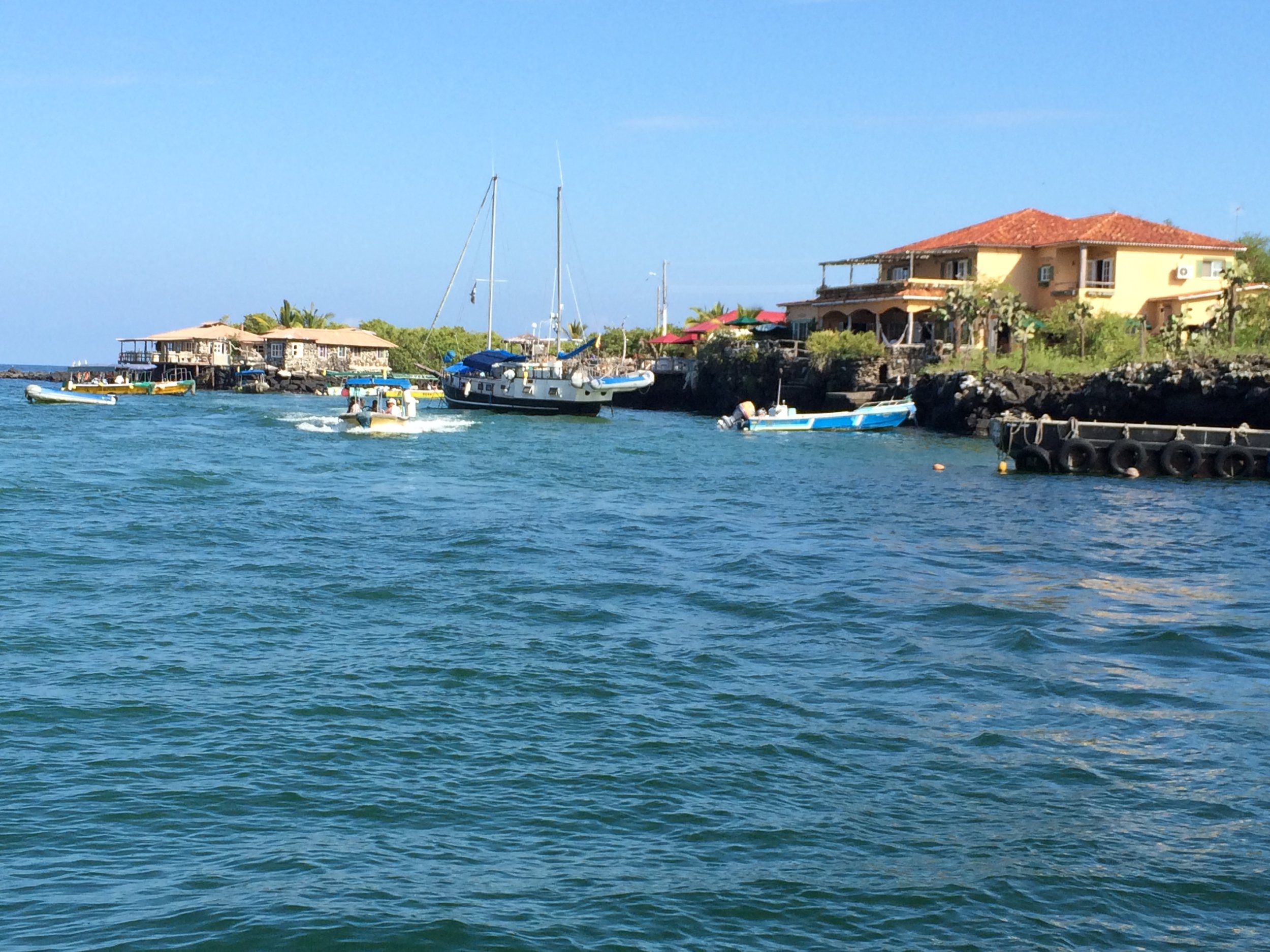 joylove-galapagos2015-17.jpg