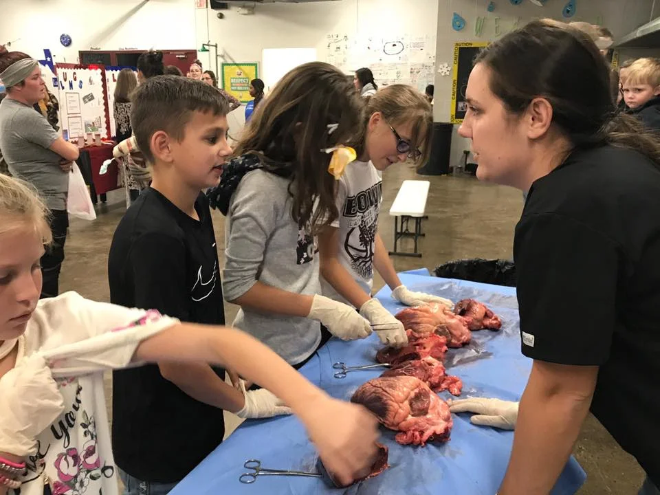 Dr. Amanda Konen participated in the Bowie Intermediate Art and Science Fair. Their table was all about the heart, and she had dissected cow hearts for students to touch and see.
