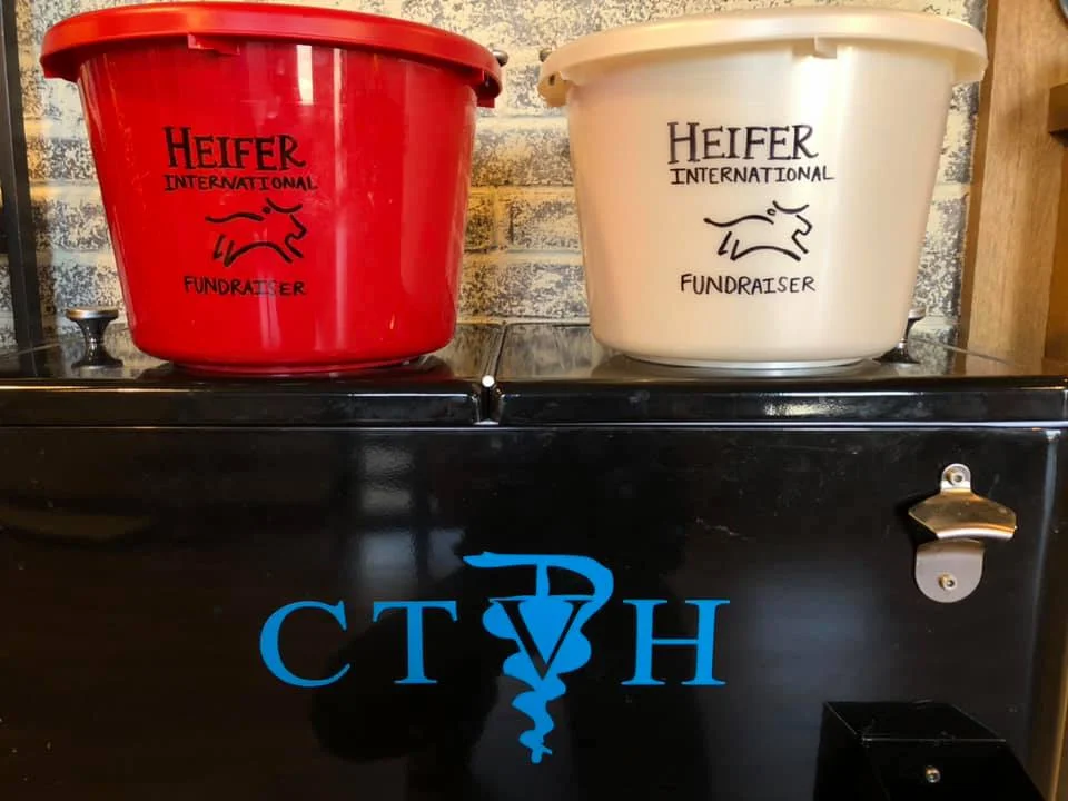 CTVH chose to donate to Heifer International for a Christmas fundraiser.