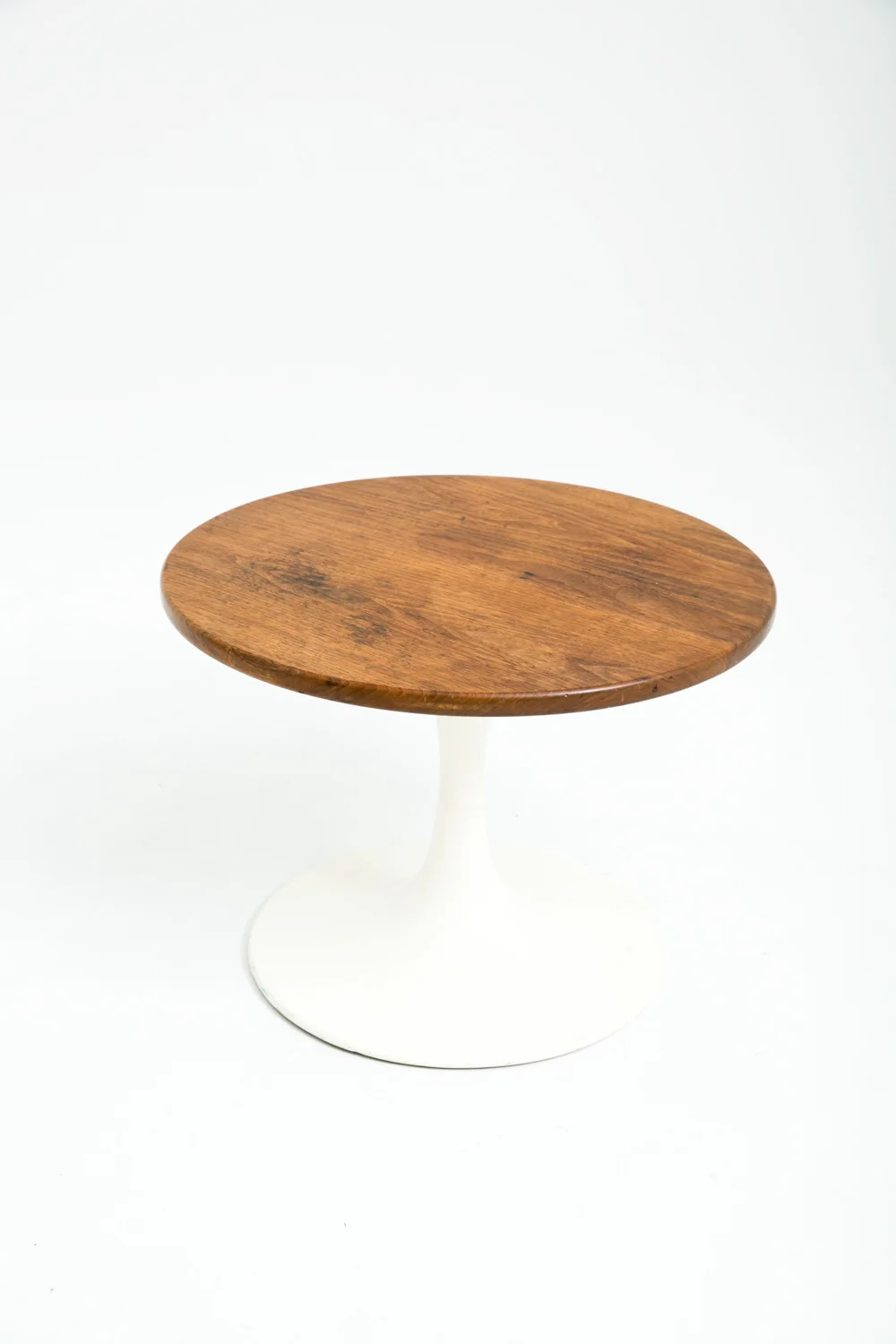 Tulip Walnut