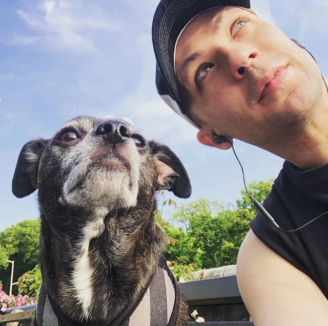Prince said to look up!🌞 #prince #puppylove #ilovemydog #handsome #sunny #friday #tgif #walk #park #nyc #getoutside #imarealboy #summer #chihuahua #chihuahualover #look #amanandhismutt #muttsofinstagram #gay #instagay #newyorkcity #blueeyes
