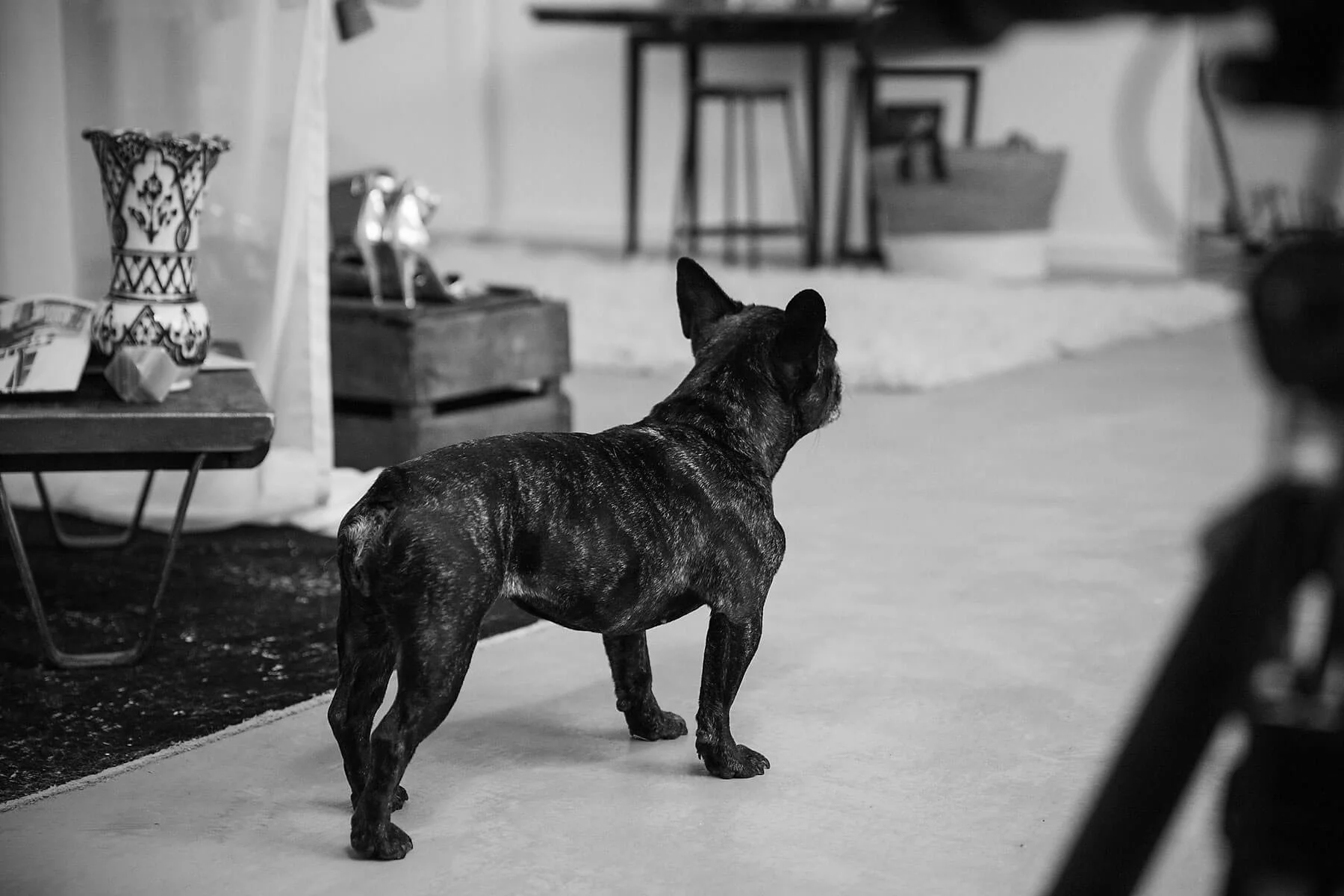 _M3A6362_Louisas-Loft-Making-of-Mazzurana-Nico-Gees.jpg