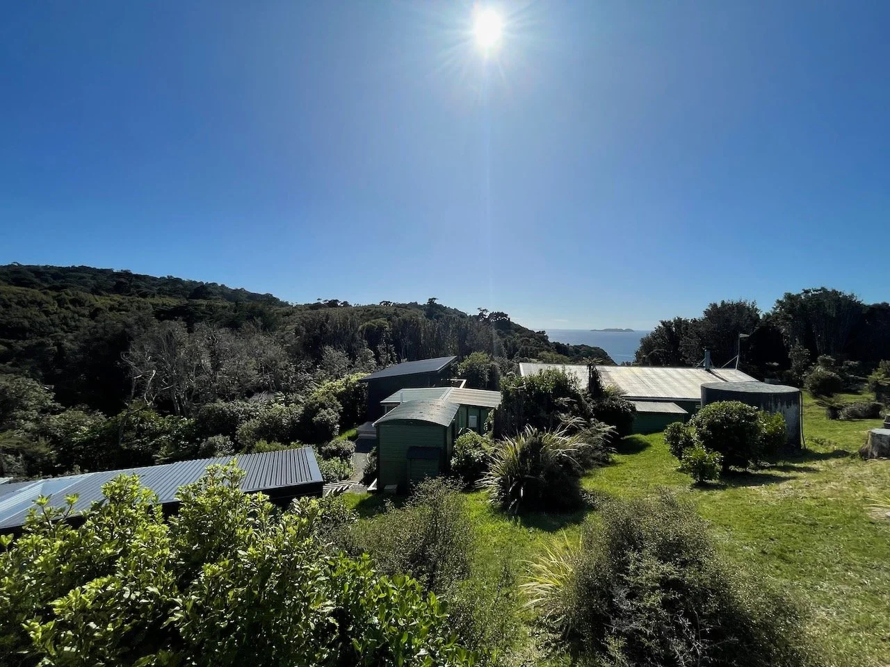 Mamaku Point camp.jpeg