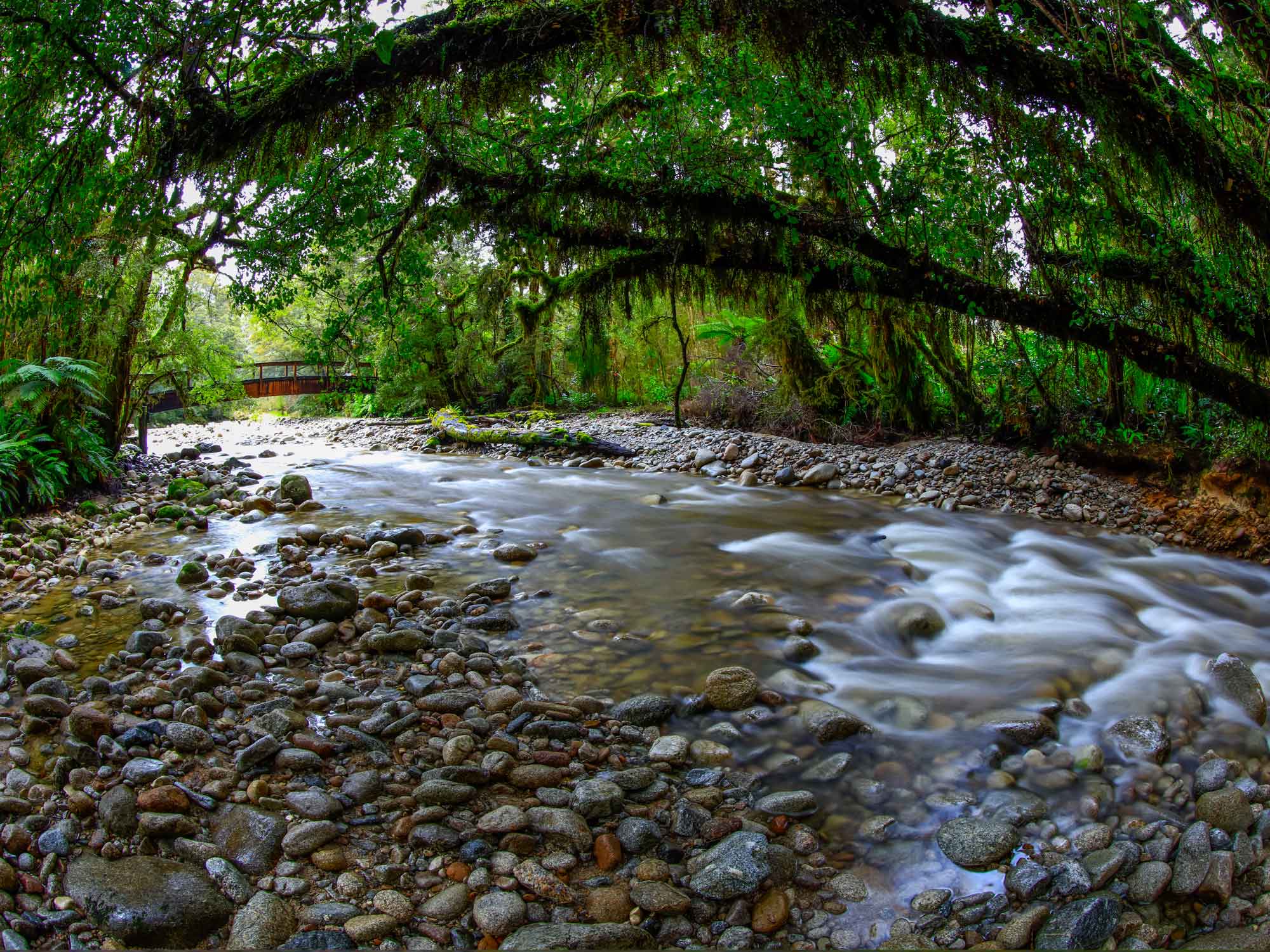 oparara-river-1.jpg