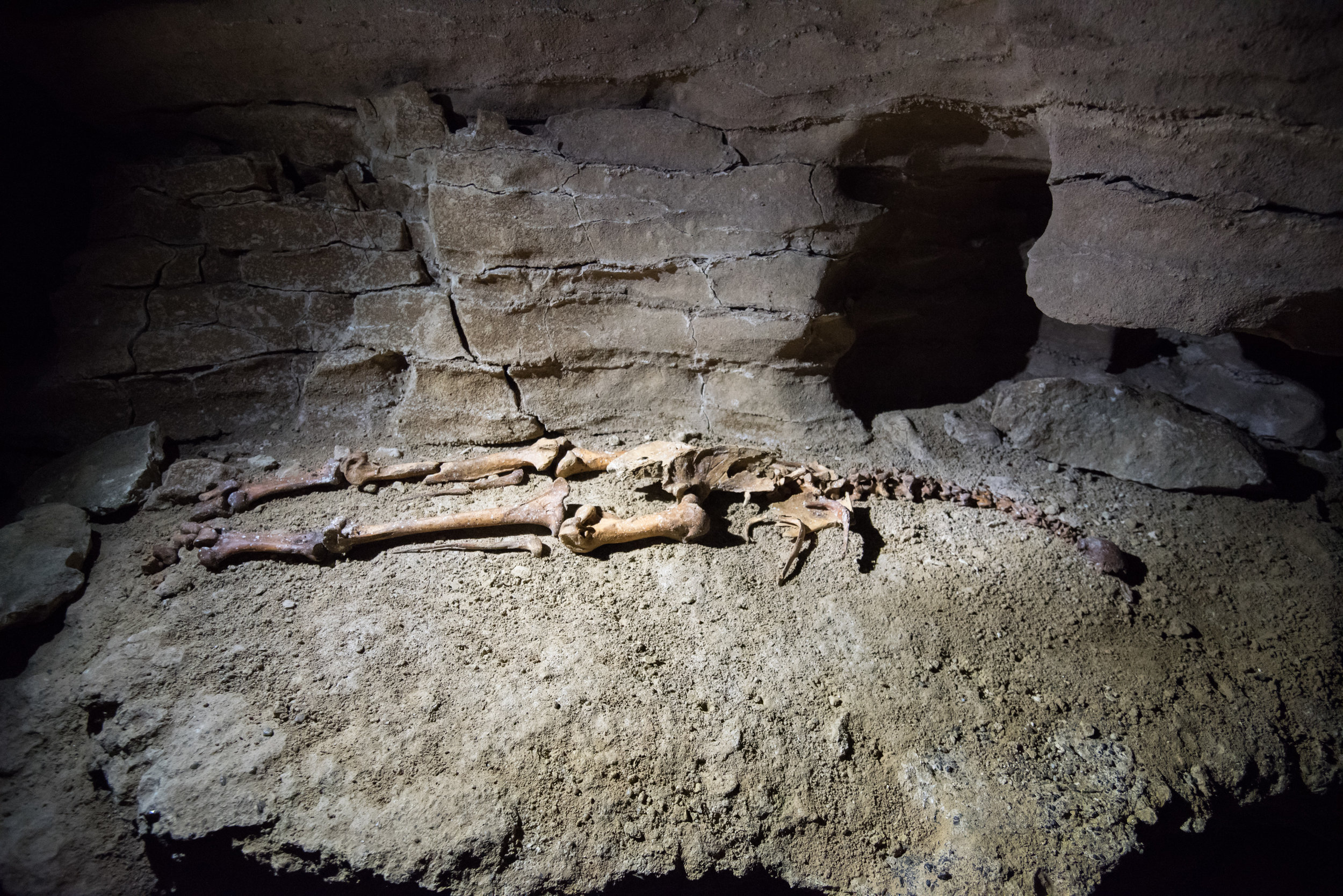 karamea-caves (3).jpg